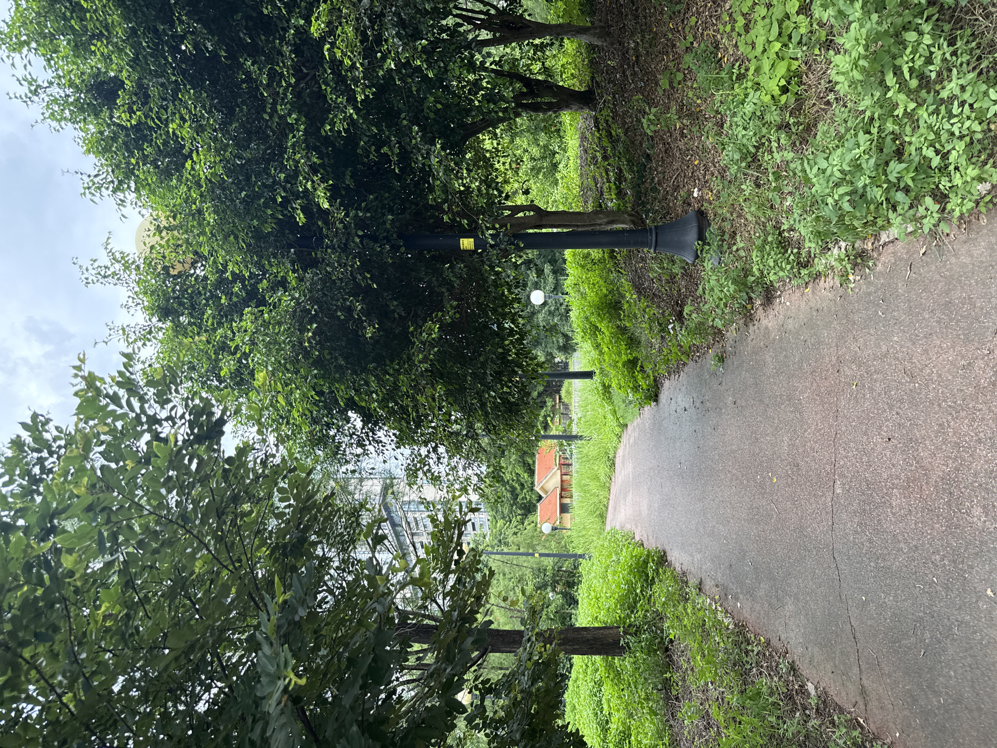 The image depicts a paved pathway winding through a lush, green park in Tianhe District, China. The path is surrounded by dense foliage, with trees lining both sides. In the background, a modern building with many windows rises above the trees, suggesting an urban setting. Closer to the path, a small, reddish-orange roofed structure is visible amidst the greenery. Several lampposts are placed along the pathway, one of which has a yellow sign attached to it. The sky is overcast, indicating a cloudy day. The overall scene conveys a serene and natural atmosphere within a city environment.