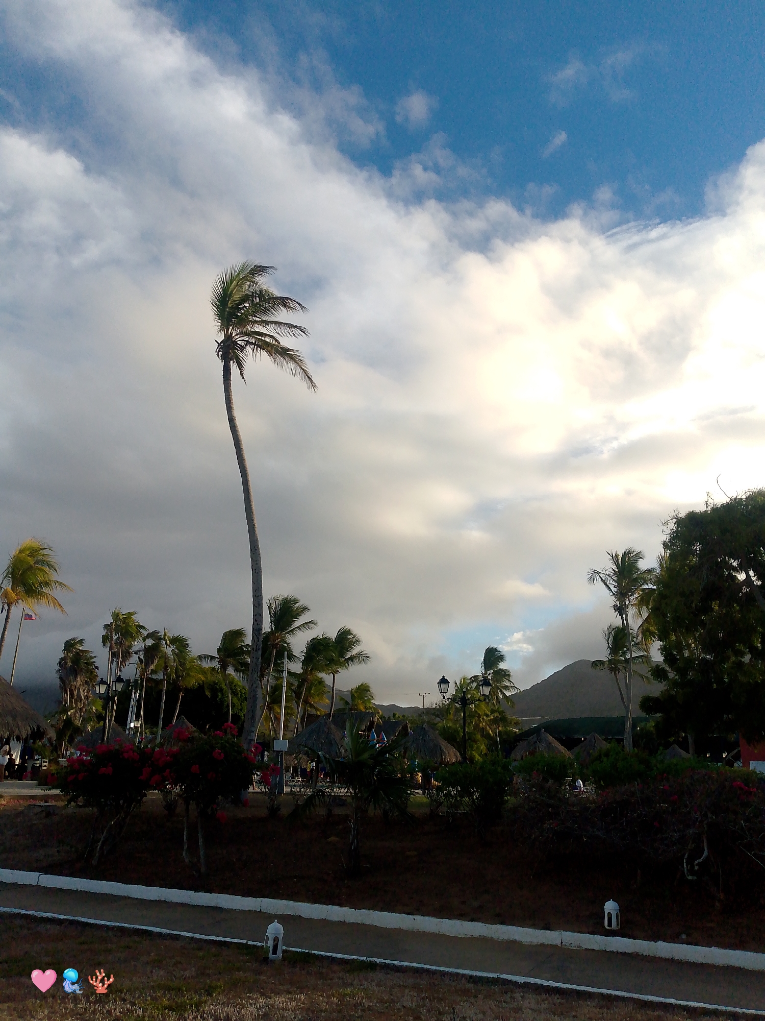 The image depicts a scene in Playa El Agua, Venezuela. The foreground features a grassy area with a path, lined with small decorative lamps. Behind this area, there is vegetation, including flowering bushes with red flowers. Several palm trees are visible, some standing tall and slender, swaying in the wind, and others appearing shorter and more densely leaved. Thatched-roof structures, possibly beach huts, are interspersed among the trees. In the background, a mountain is visible. The sky is filled with clouds, displaying a mix of blue patches and heavier overcast areas.