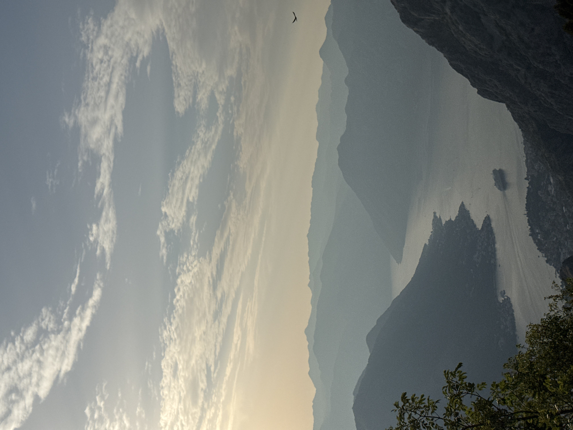 This image captures a serene, hazy landscape overlooking a bay in Žanjev Do, Montenegro. The foreground features the dark silhouette of a steep, rocky mountainside, with a cluster of lush green trees in the lower left corner. In the middle ground, a body of water, likely a bay or fjord, winds through layers of silhouetted mountains that recede into the distance. The mountains are painted in soft gradients of blue and gray due to atmospheric perspective. A cruise ship is visible on the water, moving away from the viewer. In the sky, scattered wispy clouds drift across a pale, sunlit atmosphere. A single bird is silhouetted against the sky in the upper right quadrant. The overall impression is one of vastness, tranquility, and natural beauty under a hazy, possibly early morning or late afternoon light.