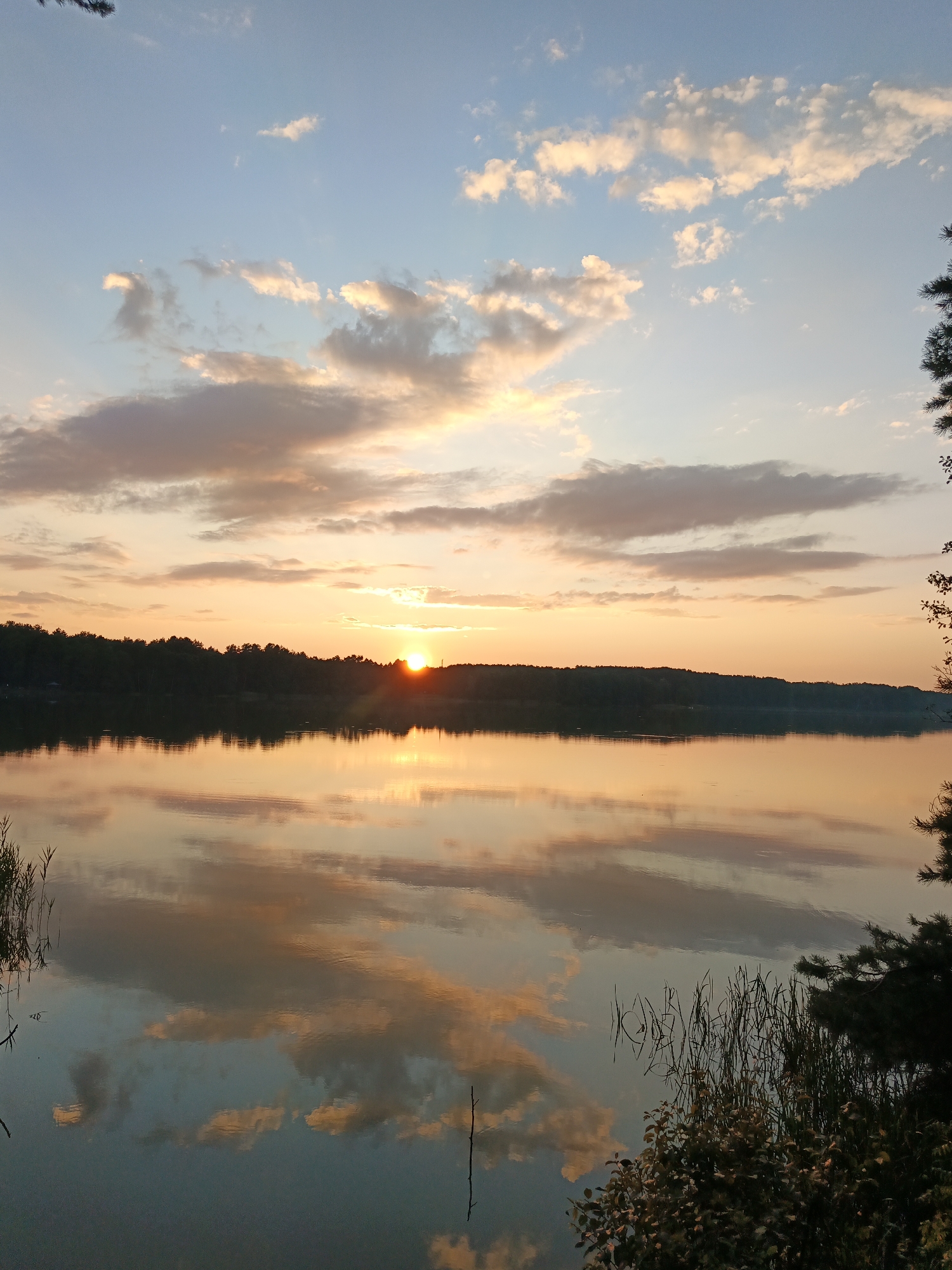 This image depicts a serene sunset over a wide body of water, likely a lake or river, in the vicinity of Парэцкі сельскі Савет, Belarus. The sky is a canvas of soft blues and oranges, with scattered clouds illuminated by the setting sun. The sun itself, a bright orange orb, is just touching the horizon, casting a warm glow across the scene.
The water perfectly mirrors the sky and the silhouetted treeline on the far bank, creating a sense of depth and symmetry. The treeline is dense and dark, forming a natural border between the water and the sky. On the right side of the image, the dark branches of a pine tree and some leafy bushes are visible in the foreground, adding a touch of natural detail. The water's edge is lined with dry reeds and scattered branches, suggesting a natural, undeveloped environment. There are no people or man-made structures immediately apparent in the scene. The overall impression is one of tranquility and natural beauty.