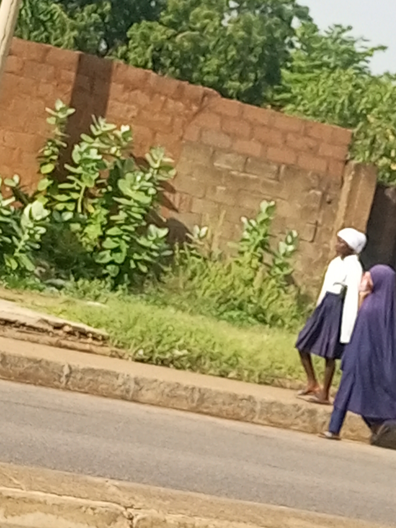Two individuals are walking on the side of a road in what appears to be an outdoor, possibly urban, setting. The person in the foreground, on the right, is wearing a long, dark blue garment, likely a hijab and abaya. The individual in the middle ground, slightly to the left, is wearing a white long-sleeved shirt and a dark blue pleated skirt, with a white head covering. Both individuals are walking in the same direction, towards the right of the frame. They are positioned on a raised sidewalk or curb next to a paved road. Behind the sidewalk is an area of green vegetation, including some leafy plants, and further back is a brick wall or structure. The lighting suggests it is daytime. The image quality is somewhat low, with soft focus and limited detail. The specific location in Tempure, Nigeria, cannot be definitively identified from the visual information provided.