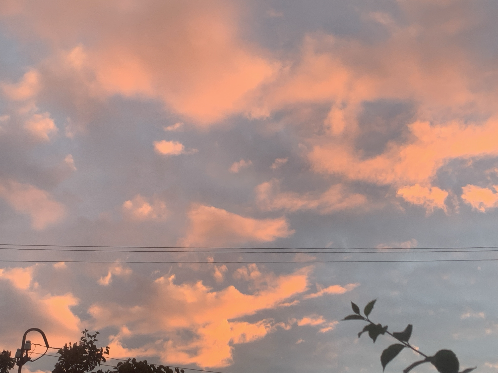 A wide shot captures a dusky sky filled with soft pink and orange clouds interspersed with patches of grey. Three thin, dark utility wires stretch horizontally across the middle of the frame. In the lower left, a dark silhouette of a street lamp with a curved arm is visible. Below the wires and to the right of the street lamp, the dark outlines of trees and foliage are present. A thin branch with a few leaves extends into the lower right corner of the frame. The scene is not identifiable as being in a specific city.