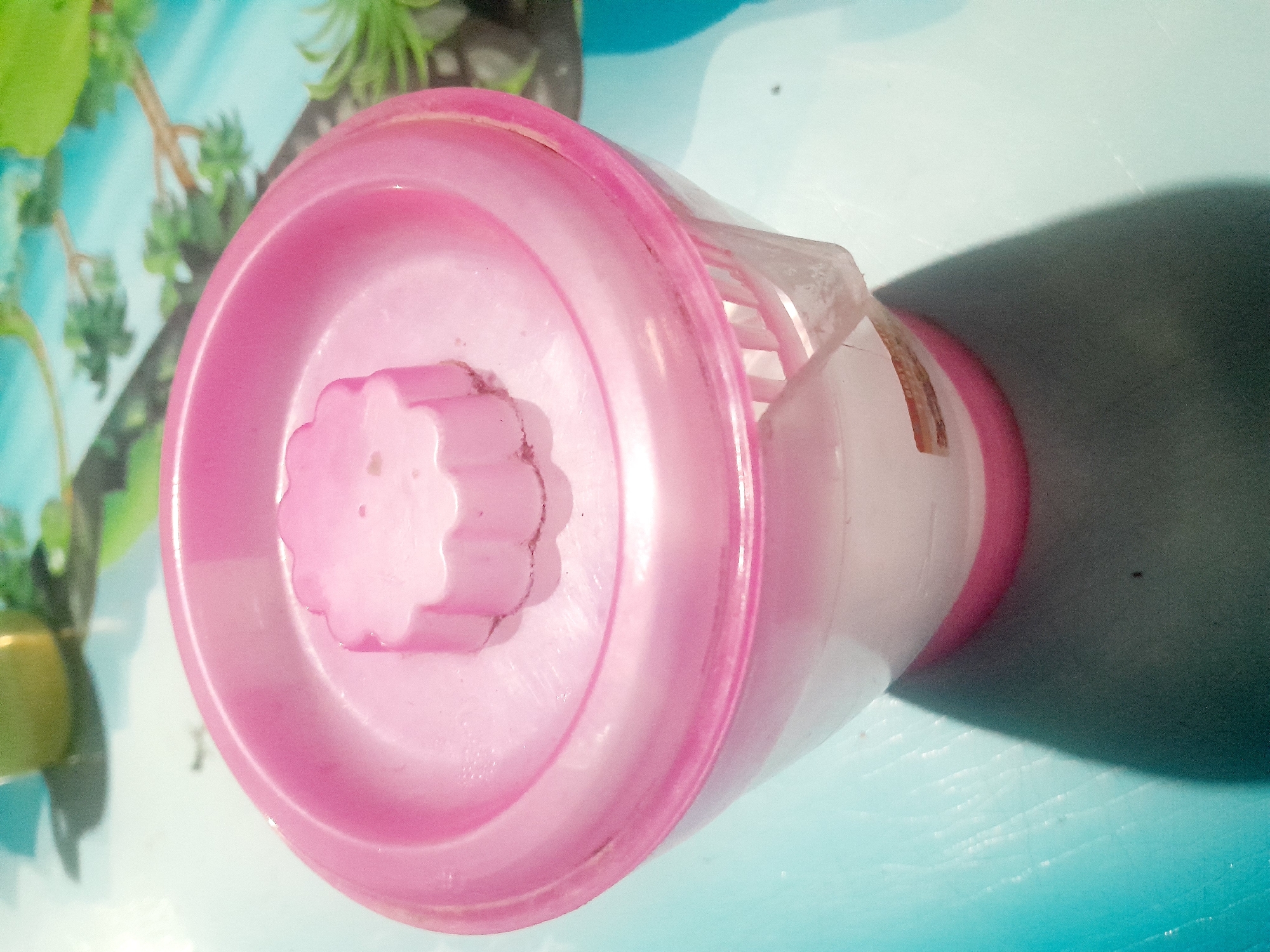 A pink and white plastic container with a floral-shaped lid sits on a turquoise surface. The container is partially transparent and appears to have some white content inside. The lid has a raised floral design in the center. A shadow is cast to the left of the container. In the background, a blurry image of a green plant and part of a yellow object can be seen. The surface appears to be a table or countertop with a patterned texture. The lighting suggests an indoor setting. There are no people or animals visible in the image.