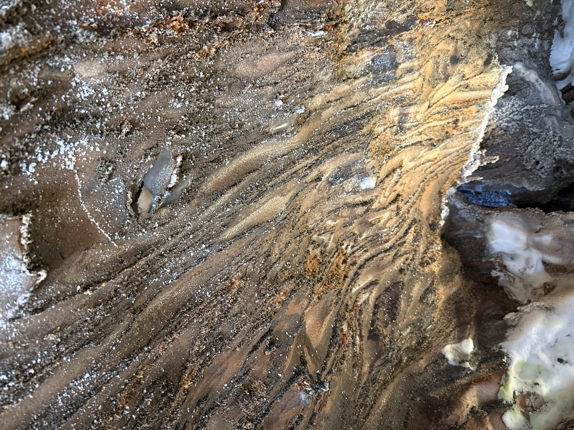 The image shows a close-up of the interior of the Cardona Salt Mountain Cultural Park in Cardona, Spain. The textured surface displays striations of brown, tan, and black, indicative of mineral deposits. Scattered white crystalline formations and grainy specks are present throughout the scene. The lighting highlights the undulations and layers of the salt formation.