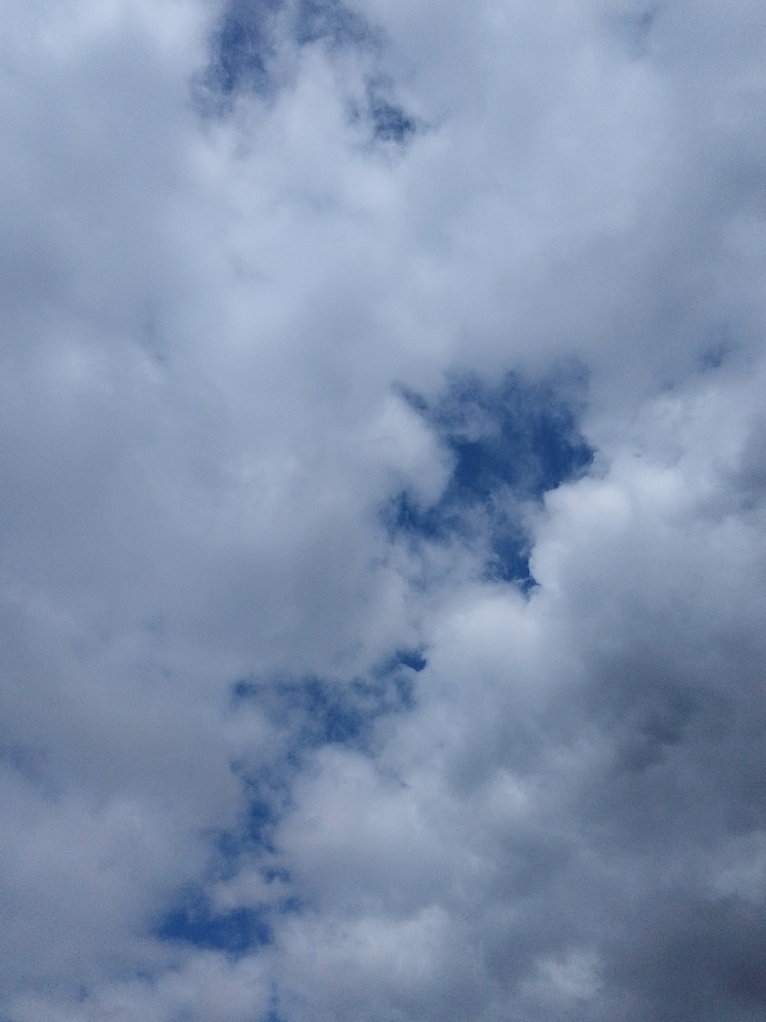 The image displays a sky filled with a mix of clouds, primarily in shades of white and light to dark grey, interspersed with visible patches of clear blue sky. The composition is a vertical shot, looking upwards, entirely dominated by the atmospheric elements.
The clouds are dense and varied in their formations, exhibiting a textural quality with soft, diffused edges for the lighter, brighter clouds and more shadowed, darker grey areas indicating thicker cloud cover or depth. Several irregular and fragmented areas of deep blue sky are visible, particularly towards the center and bottom of the frame, suggesting breaks in the cloud layer. There is no direct sunlight evident, giving the sky a soft, diffused light, typical of an overcast or partially cloudy day.
No people, objects, or structures are present in the image. There is no specific activity or event taking place; it is a static capture of the sky. The weather appears to be cloudy, possibly indicating an overcast condition with some clearing, or a developing cloud formation. No time of day can be definitively determined from the lighting, though it is clearly daylight. There are no visible location cues within the image itself, other than the provided context of Елец-Маланино, Russia. No text is visible.