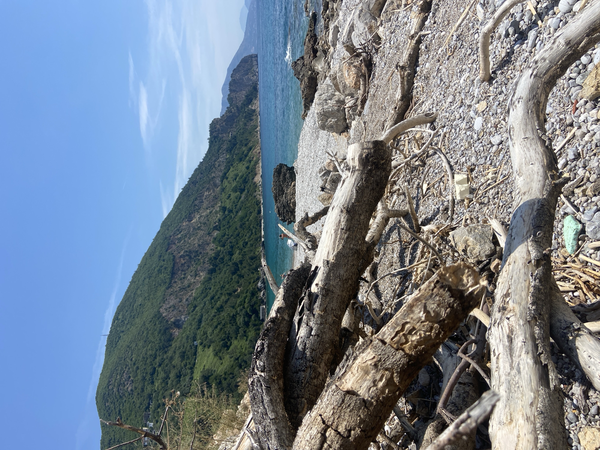 The image shows a coastal scene in Prijevor, Montenegro. The foreground is dominated by weathered driftwood scattered on a pebble beach. The middle ground features turquoise water meeting the shore, with a dark rock formation visible in the water. A few people are sparsely dispersed along the beach. The background reveals a steep, green, tree-covered mountain range stretching into the distance under a clear blue sky with light cirrus clouds.