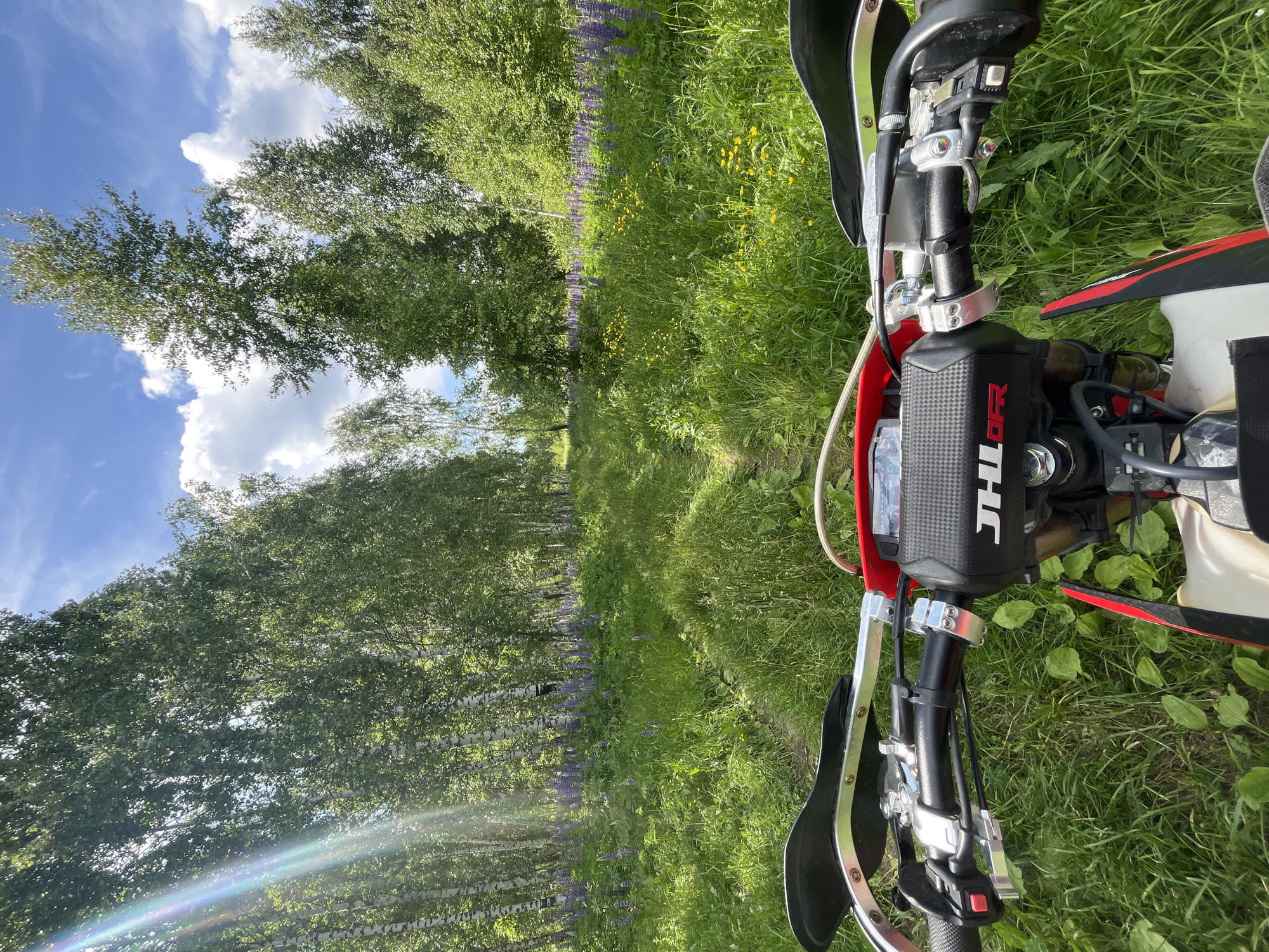 The image shows a first-person perspective of a person riding a dirt bike on a grassy path. The path is bordered by lush green grass and tall trees, with a field of purple lupine flowers to the left and yellow wildflowers to the right. The sky is blue with scattered white clouds. The dirt bike's handlebars and instrument panel are visible in the foreground. The location is identified as Vasilyevo, Russia.