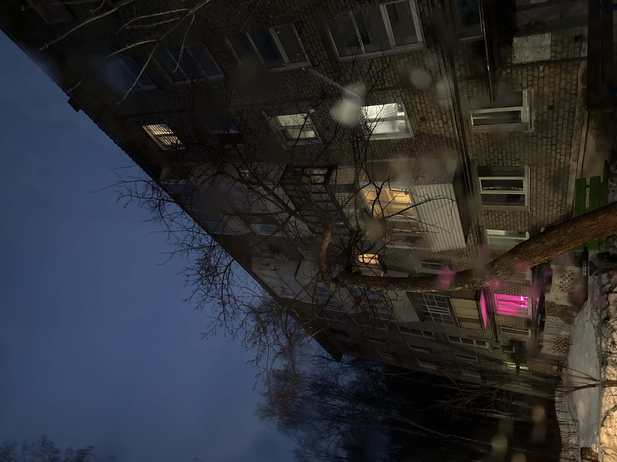 A low-angle, tilted shot depicts a multi-story brick building in the city of Chaikovsky, Russia, viewed at dusk or night. Bare tree branches are silhouetted against the building and the dark blue sky. Several windows are illuminated, one with a striking pink light. Snow is visible on the ground near the base of the building.