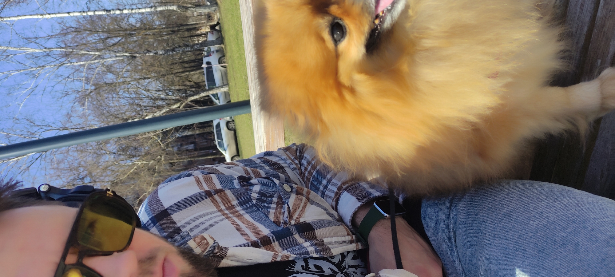 A man is taking a selfie with his Pomeranian dog on a bench. The man is wearing sunglasses and a plaid shirt. The dog is a light brown color. The background shows a park with bare trees and parked cars in the distance, taken in Fryazino, Russia.