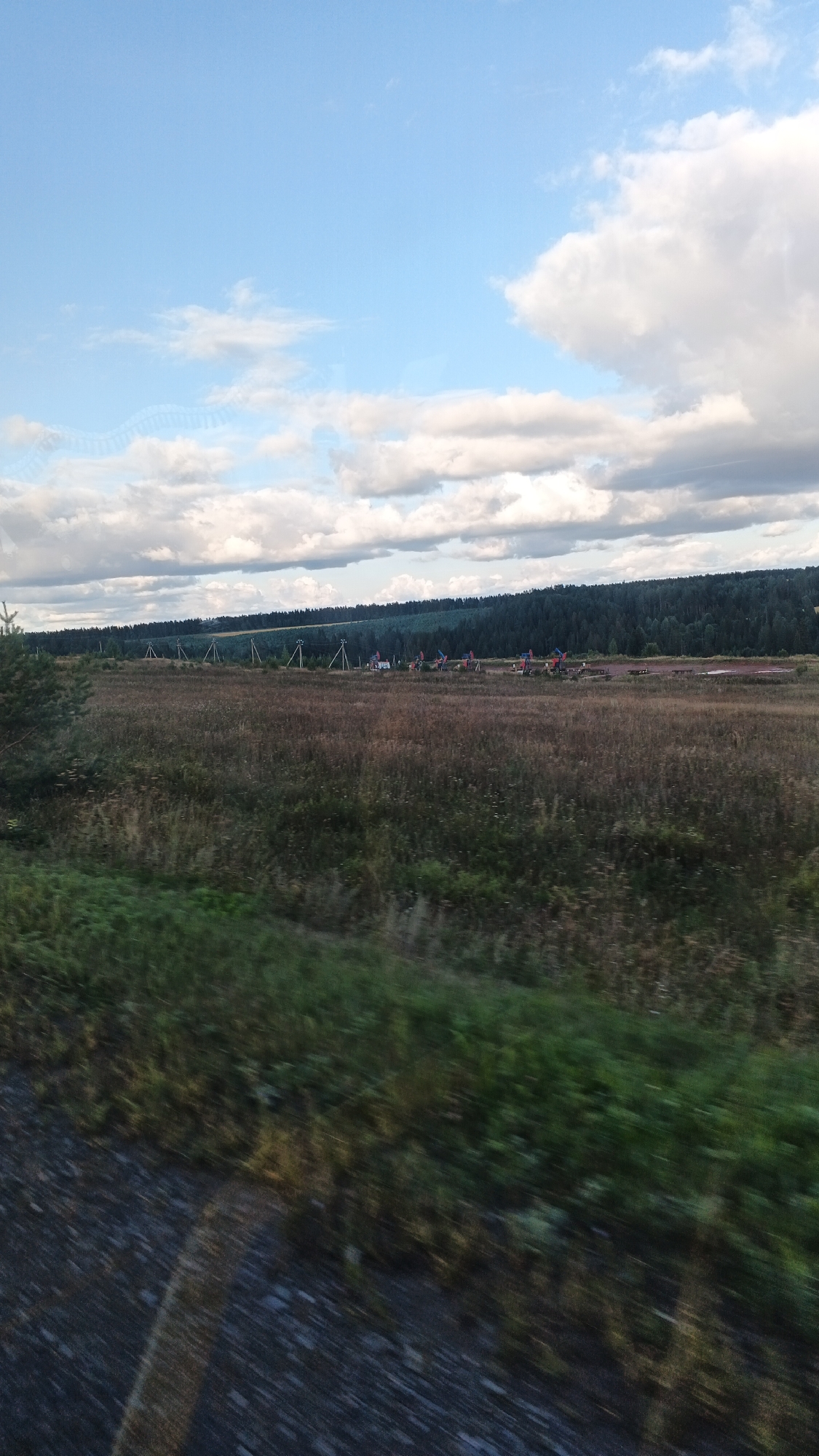 The image depicts an outdoor rural scene, likely in or around Buranovo, Russia, given the context provided. The foreground is dominated by a blurred swath of green vegetation and a dark, textured surface, possibly a road or path, suggesting movement or a slightly obscured perspective.
The midground reveals a wide expanse of dry, brown grasses and wildflowers, stretching towards a distant tree line. Along this tree line, a series of structures are visible. These appear to be poles with some form of equipment or decorations attached, possibly related to an event or infrastructure. Further to the right, several small vehicles or machinery are present, some adorned with colorful elements, like flags or banners.
The background consists of a dense, dark green forest that forms a rolling horizon. Above this, a vast sky is visible, featuring a bright blue expanse punctuated by scattered, fluffy white clouds, some of which are tinged with gray, indicating potential cloud cover or atmospheric conditions. The lighting suggests it is daytime, likely late afternoon or early evening due to the softness of the light and the color of the sky.