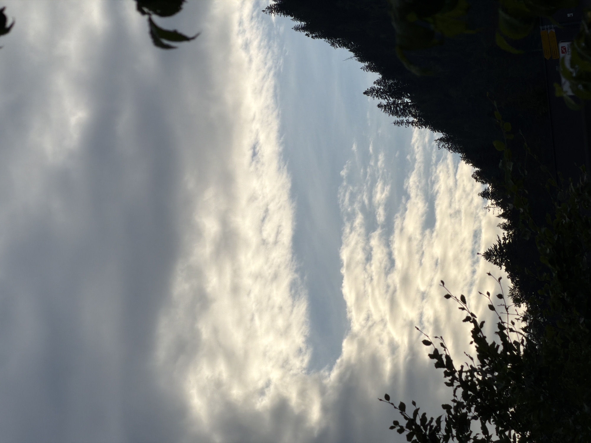 The image depicts a silhouetted view of a dense forest on a steep incline under a cloudy sky. In the foreground, dark, leafy branches partially obscure the view on the left and right sides. The forest itself is composed of numerous evergreen trees, primarily pines, forming a dark, jagged line against the lighter sky. The sky is filled with a mix of gray and white clouds, with a band of lighter, brighter clouds appearing to be illuminated from behind, suggesting either sunrise or sunset. The overall atmosphere is somber and natural, typical of a mountain or forested region. The location is identified as Grainau, Germany.