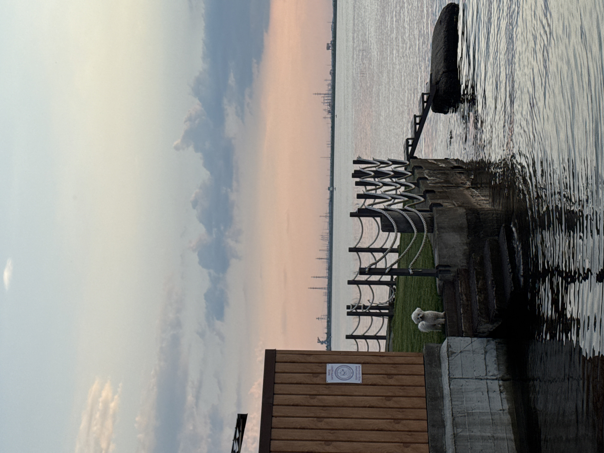 This media file captures a serene outdoor scene at dusk in Chaikovsky, Russia. The foreground features a wooden structure with a sign displaying text in Russian and a circular emblem. Adjacent to the structure is a concrete platform and a grassy area bordered by a fence with rope accents. A small, white fluffy dog is visible on the grass, looking towards the water. The water itself, likely a river or large body of water, reflects the soft colors of the sky. In the distance, a silhouetted industrial cityscape with numerous towers and structures lines the horizon. The sky displays a gradient of soft blues and pinks, indicative of a sunset. The overall mood is peaceful and tranquil, with the gentle lapping of the water and the quiet presence of the dog contributing to the atmosphere. The time of day is clearly evening, with the fading sunlight casting a warm glow.