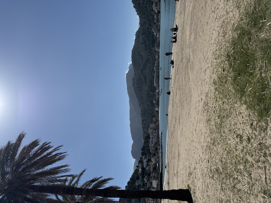 This image depicts a coastal scene on a clear, sunny day in El Port, Spain. The foreground features a sandy beach with patches of sparse green grass, partially framed on the left by the dark trunk and fronds of a palm tree. A bright sun is visible in the upper-left quadrant of the clear blue sky.
Approximately ten to twelve individuals are present on the beach. Several small groups and solitary figures are observed seated or standing near the waterline in the midground. Two individuals are standing together towards the center-right, while a larger group of five to six people are seated or lounging further right. Other individuals are seated alone or in pairs further left along the water's edge.
The calm, blue waters of a bay extend beyond the beach, reflecting the bright sky. At least three small boats are visible floating in the bay. The background reveals a coastal town with numerous white and light-colored buildings clustered on the hillsides surrounding the bay, particularly on the left. Distant, dark green, forested mountains form the horizon, enclosing the bay and town. A visible, lighter mountain peak stands out towards the center-right background.