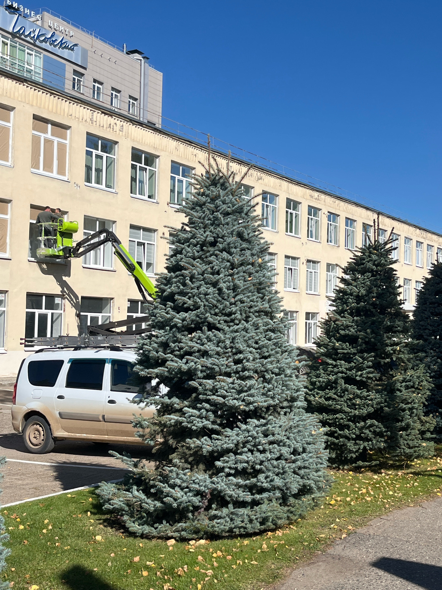 In Chaikovsky, Russia, a man operates a cherry picker with a bucket platform to access the upper windows of a tan, multi-story building. The cherry picker, bright green, is extended and positioned to the left of the building's facade. A white van with a roof rack is parked below the cherry picker's arm, suggesting it is the vehicle supplying power or support for the lift. Two mature blue spruce trees stand prominently in the foreground, partially obscuring the view of the building. Fallen yellow leaves are scattered on the green grass surrounding the trees and the paved area where the van is parked. The sky above is a clear, bright blue, indicating fair weather. The building has numerous white-framed windows and a distinctive sign in Russian at the top that reads "БИЗНЕС ЦЕНТР Чайковский".