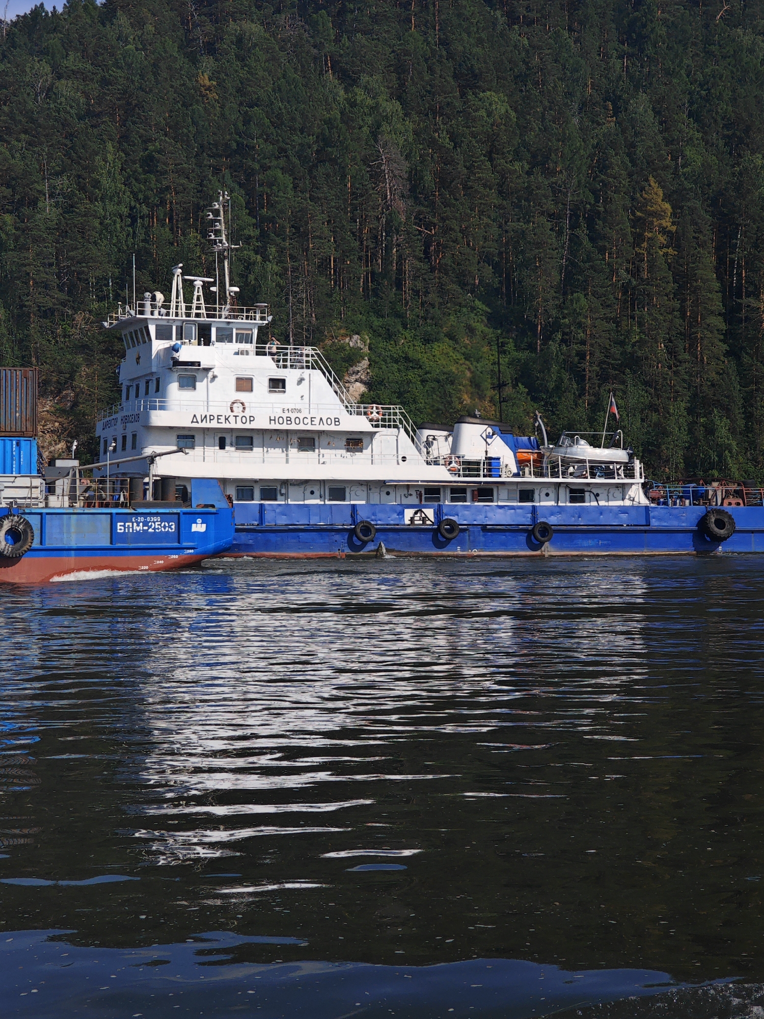 A large cargo ship named "DIREKTOR NOVOSELOV" sails on a dark body of water, reflecting the dense green forest that lines the steep bank of the Krasnoyarsk Reservoir in Predivinsk, Russia. The ship has a white superstructure with multiple windows and railings, topped with various communication equipment. Its hull is predominantly blue, with a red waterline. The ship is carrying containers, stacked on its deck towards the left of the image. Several black fenders are visible along the sides of the hull. The water surface is rippled, with reflections of the ship and the surrounding environment. The sky is not visible in the frame.