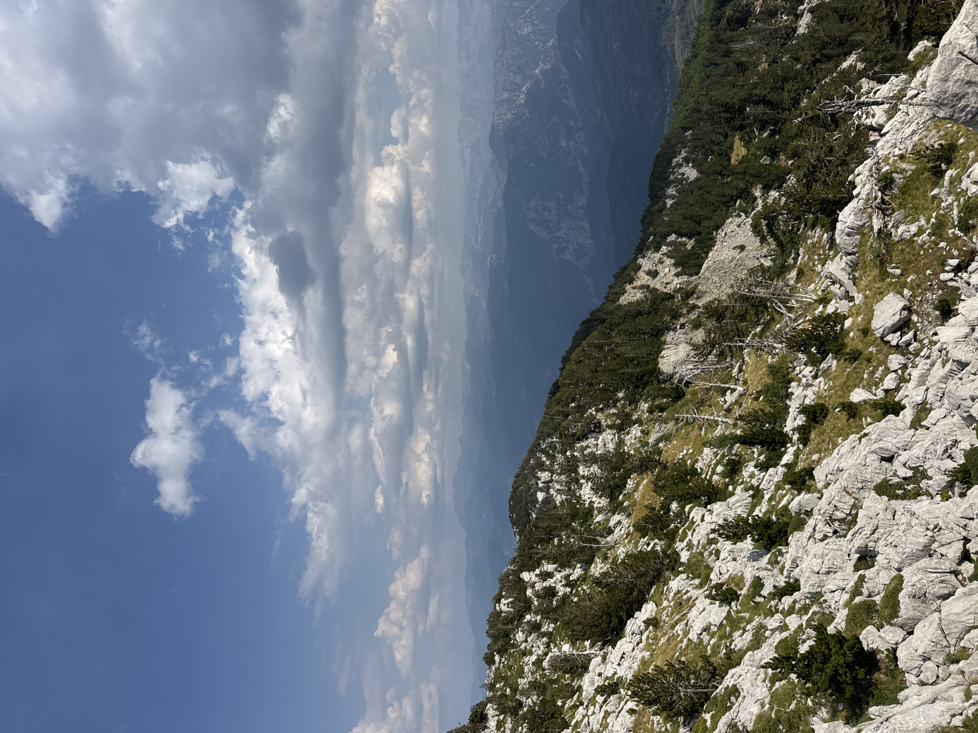 The image depicts a rugged, mountainous landscape under a partly cloudy blue sky. In the foreground, a steep, rocky slope is covered with sparse vegetation, including scattered pine trees and dry grasses. The rocks are a light gray color, and some appear weathered and broken. The trees are dark green, with a mix of mature pines and some younger saplings. Further in the background, successive layers of blue-hazed mountains recede into the distance. The sky is a bright blue with scattered white and gray clouds, suggesting a dynamic weather system. The scene appears to be an outdoor natural environment, likely at a high altitude. There are no people or man-made structures visible in the image. The location is identified as Mrtvo Duboko, Montenegro.