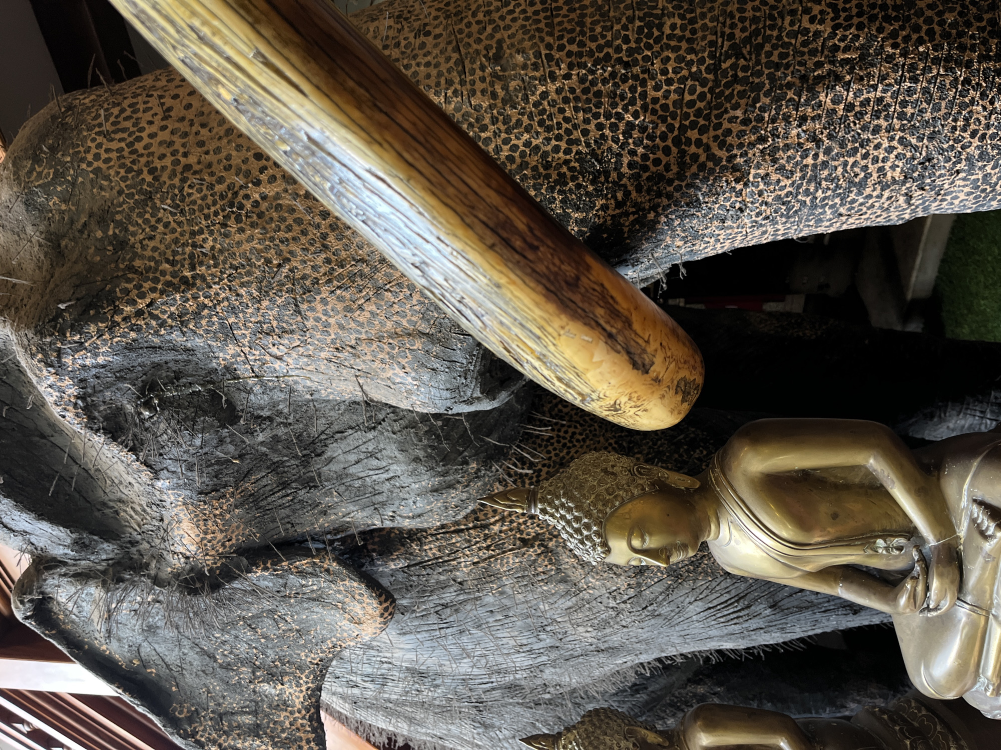The image shows a close-up view of a large, textured elephant statue with a prominent tusk. In front of the elephant, a small, golden Buddha statue is seated. The elephant statue is dark in color with a speckled pattern. The tusk is a lighter, yellowish-brown color with darker streaks. The Buddha statue is intricately detailed with a serene expression. The background is dark and indistinct, suggesting an indoor setting. The scene is likely a display in a temple or a tourist attraction in Colombo, Sri Lanka, given the presence of both elephant and Buddha imagery, common in Sri Lankan culture.
