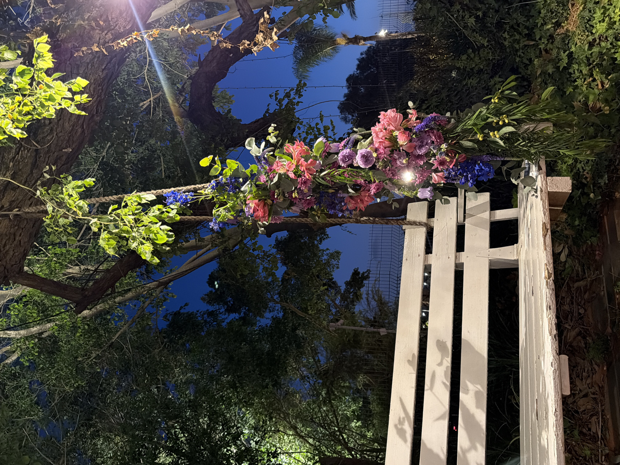 The image captures an outdoor scene at night or late dusk, illuminated by artificial lights. The central focus is an elaborate floral arrangement draped across a rope or twine structure, which appears to be part of an entrance or archway, leading to or from a white wooden gate on the right.
The floral arrangement is rich with vibrant colors, featuring clusters of pink, fuchsia, purple, and blue flowers, interspersed with various green foliage. Some prominent flowers include what look like pink lilies or alstroemeria, purple stock or delphinium, and blue delphinium. The flowers are lush and artfully arranged, suggesting a festive or ceremonial occasion. Small lights are integrated into or near the floral display, casting bright glows and lens flares in the upper left portion of the image.
The background reveals a deep blue night sky visible through the silhouettes of several large trees with substantial trunks and branches. Green leaves, some brightly illuminated by the lights, frame the upper and lower sections of the image, contributing to an organic, garden-like setting. The white wooden gate on the right side is partially visible, showing vertical slats and hinges, with shadows of leaves cast upon it. No people or visible text are present in the image. The overall atmosphere is serene and celebratory, indicative of an outdoor event or decorated space in Nir Eliyahu, Israel.