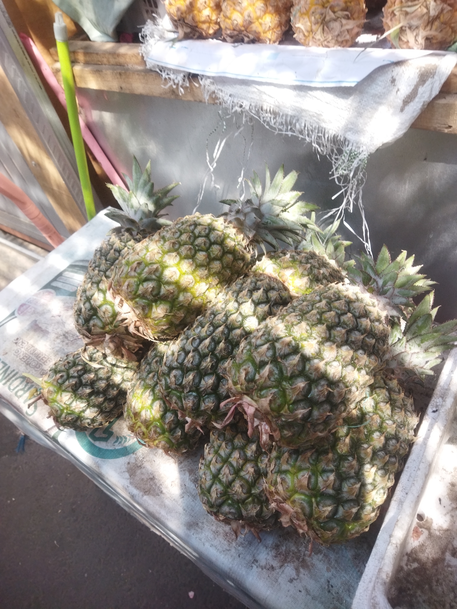 In the city of Wonogiri, Indonesia, a close-up, eye-level shot captures a pile of ripe pineapples displayed on a white surface, possibly a stall. The pineapples, with their characteristic spiky green crowns and textured brown exteriors, are arranged in a cluster. Some of the pineapples appear to have a golden-yellow hue, indicating ripeness. The background is blurred, but hints of wooden planks and a concrete wall suggest an outdoor market or roadside stall setting. Sunlight casts shadows and highlights on the fruit, emphasizing their textures and forms. The image is sharp and well-lit, offering a clear view of the produce.
