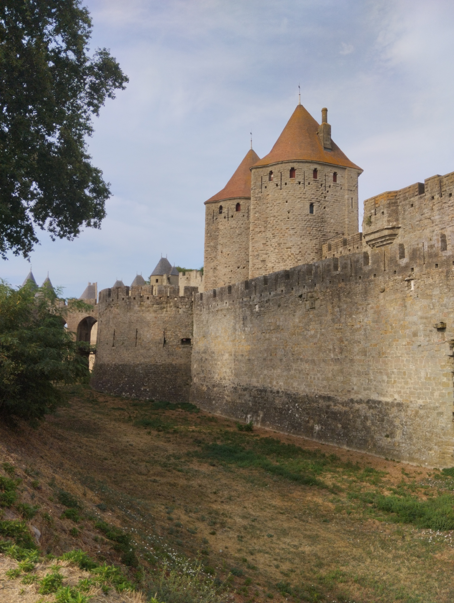 The image displays a view of the ramparts of the historic fortified city of Carcassonne, France. The foreground shows a grassy, sloping area with sparse vegetation. A large, leafy tree occupies the upper left portion of the frame, its branches partially obscuring the sky. Dominating the midground and background is a section of the massive stone wall and several of the city's distinctive conical-roofed towers. The stonework appears weathered, indicating age. The sky is overcast with some visible clouds. No people are present in the image.