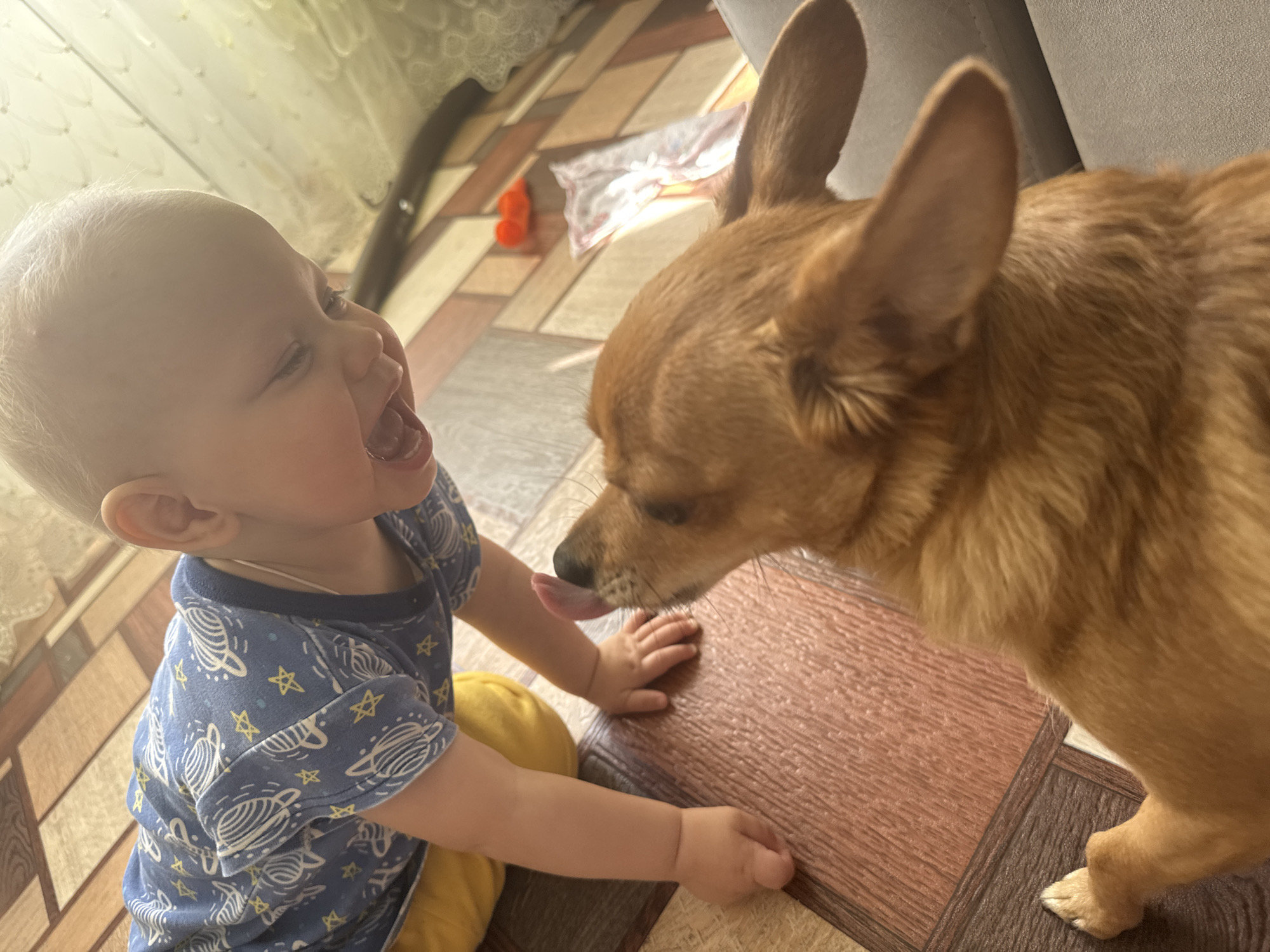A young child and a small dog interact indoors in Chaikovsky, Russia. The child, fair-skinned with blond hair, wears a blue t-shirt patterned with stars and planets, and yellow pants. The child is positioned to the left of the frame and has their mouth open, tongue partially visible. The dog, a light-brown Chihuahua mix with prominent ears, stands on the right side of the frame, close to the child, and extends its tongue toward the child's hand. They are on a tiled floor. A section of white curtain is visible in the upper left corner. In the background, there is a toy and cloth. The location is Chaikovsky, Russia.