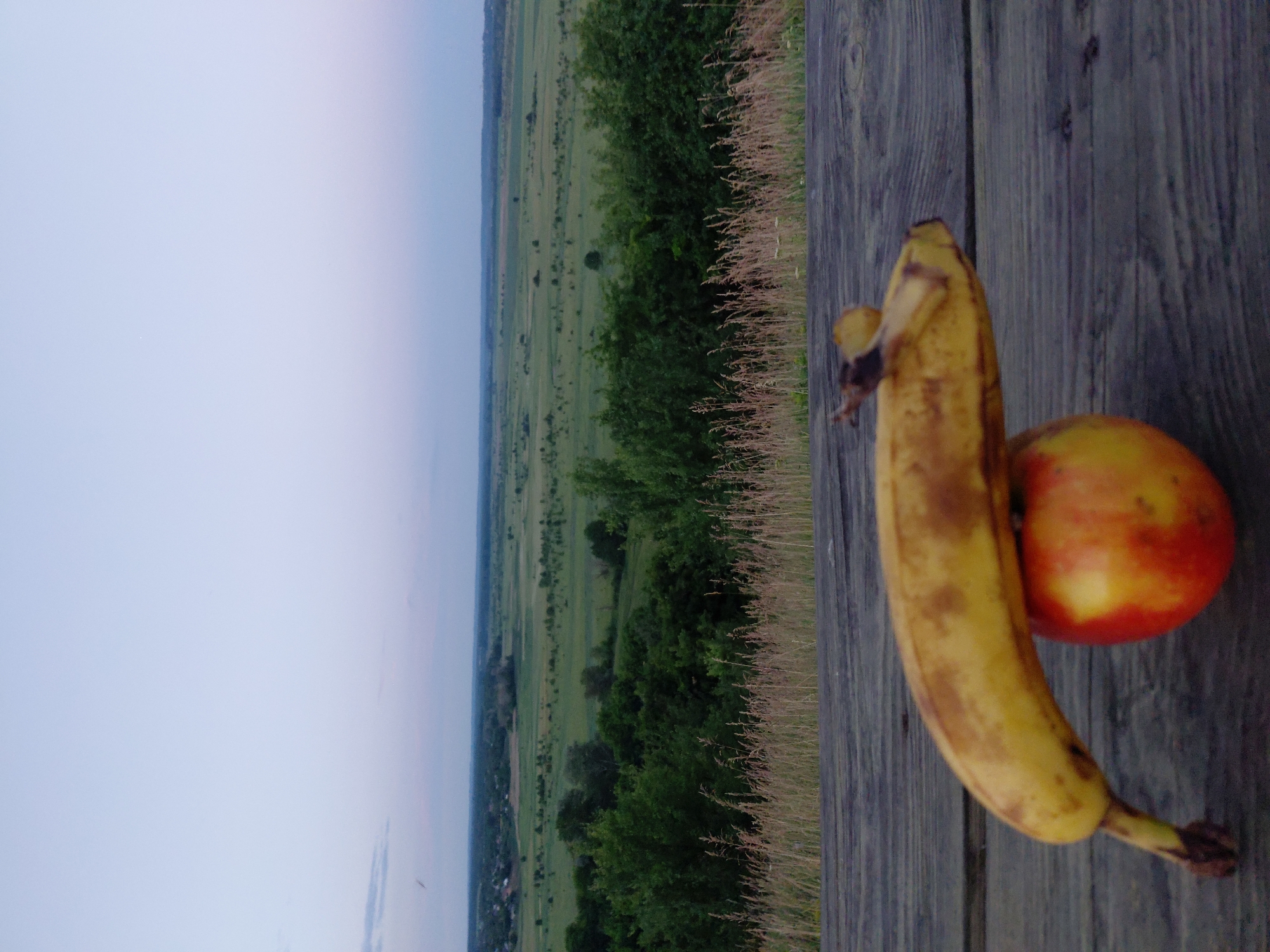 In Ustyvytsia, Ukraine, an apple and a banana rest on a weathered wooden table. The apple, a vibrant red and yellow, sits on the table, supporting a curved yellow banana. The banana has a few brown spots, indicating ripeness. Behind the table, a lush green forest stretches across rolling hills. Beyond the trees, a vast, open field extends towards the horizon, dotted with scattered trees and patches of vegetation. The sky above is a soft, pale blue, transitioning to a lighter hue towards the horizon, suggesting either dawn or dusk. The overall scene captures a moment of natural tranquility, with the fruits serving as a foreground element against the expansive Ukrainian landscape.