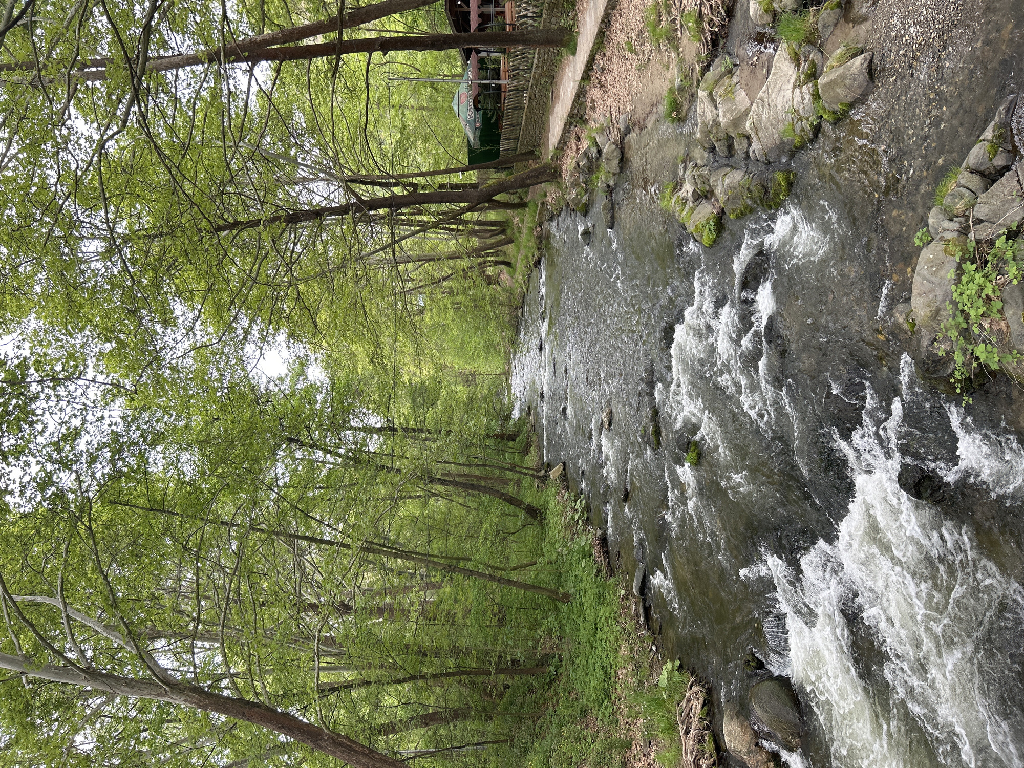 The image depicts a swiftly flowing river alongside a treeline. The river is filled with rocks and whitewater rapids. On the left of the river, trees line the bank, creating a dense, shaded area. A structure with a green awning and a stone wall is visible further up the treeline. The image was taken in Parvenets, Bulgaria.