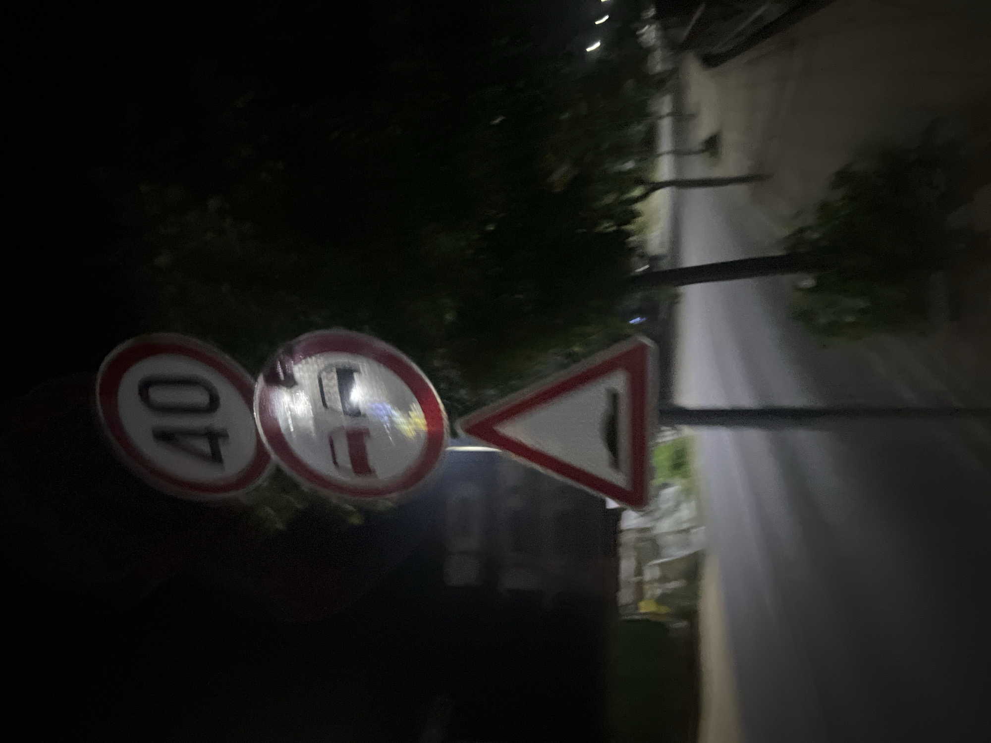 The image depicts a dark, outdoor, nighttime scene featuring a pole with three stacked traffic signs on the right side of an asphalt road in an unknown city and location.
The uppermost sign is circular, white with a red border, displaying the black number '40', indicating a speed limit. Immediately below it, a circular white sign with a red border shows a red car on the left and a black car on the right, indicating 'Give Way to Oncoming Traffic'. The lowest sign is triangular, white with a red border, containing a black symbol of a speed hump, warning of a road hump ahead. Some reflective glare is visible on the middle and bottom signs.
An asphalt road occupies the foreground and midground, appearing somewhat reflective, possibly due to dampness or ambient light. To the right of the signs, a dirt or unpaved sidewalk is visible, bordered by dark trees with discernible foliage. In the blurry background on the left, indistinct building outlines are present. On the far right, a series of receding white lights, likely streetlights, suggests a continuing thoroughfare. The scene is underexposed and slightly out of focus, consistent with low-light photography. No individuals or vehicles are present.