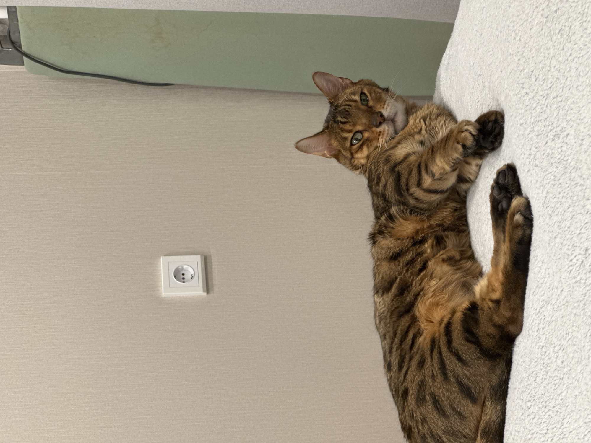 A medium shot depicts a Bengal cat clinging to a white, textured surface, likely furniture, set against a neutral interior background. The cat's position is angled, with its head cocked towards the camera and its front paws grasping the white surface. The cat has distinctive brown and black striped fur, with green eyes. The background consists of a beige wall with a white electrical outlet, and a light green surface above. The environment suggests an indoor domestic setting.