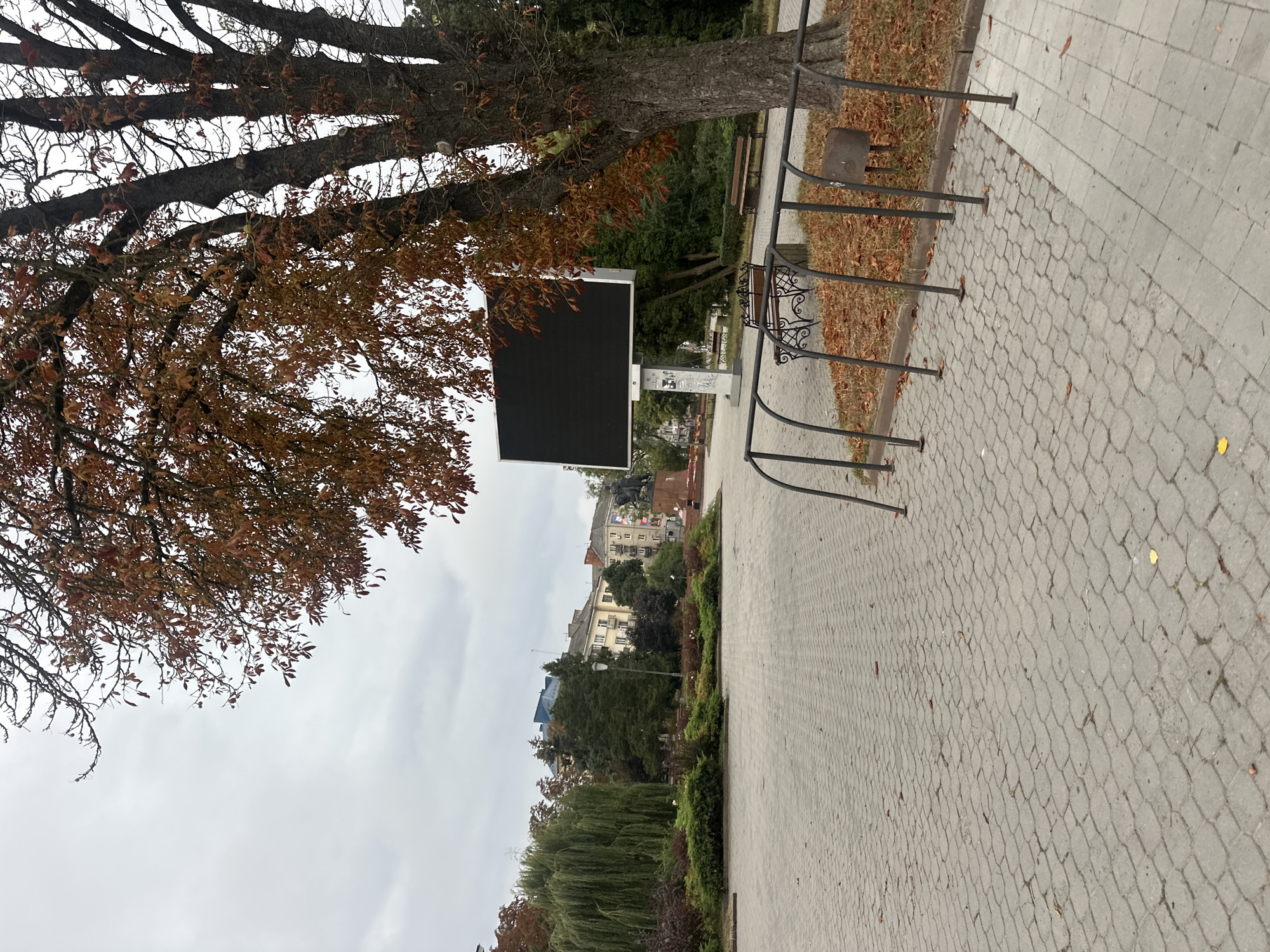 The image depicts an outdoor public space, likely a park or plaza, in Ternopil, Ukraine. In the foreground, a paved walkway made of grey interlocking bricks is visible, with scattered fallen autumn leaves. To the right, a section of a metal fence or railing is present, with a trash bin attached to it. Behind the railing, a large tree with dark bark and orange-brown leaves is prominent.
In the midground, a large, black digital screen is mounted on a white stand. Further back, several park benches are placed on a grassy area interspersed with fallen leaves. Beyond the benches and screen, a landscaped area features various shrubs and bushes. A weeping willow tree with its characteristic hanging branches stands to the left of the landscaped area. In the background, several multi-story buildings and trees are visible under an overcast sky. A statue of a figure on horseback is situated in the distance. The overall scene suggests a public square or park setting during autumn.