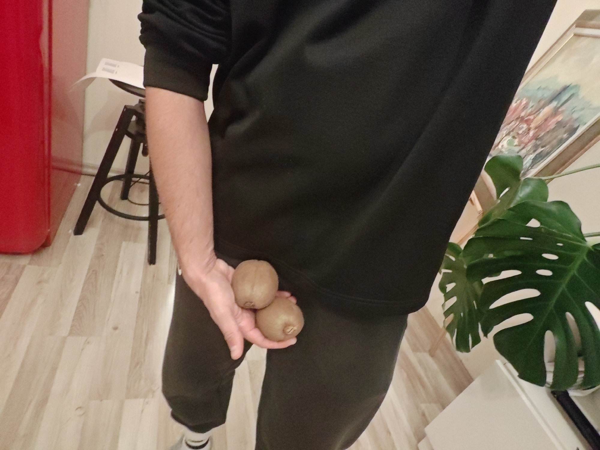 The image shows a person holding two kiwis in their left hand. The person is wearing a black long-sleeved shirt and dark pants. The background includes a red refrigerator, a stool, a painting, and a plant. The flooring appears to be wood. The image was taken indoors. No specific location in Sofia, Bulgaria is discernible from the visual information provided.