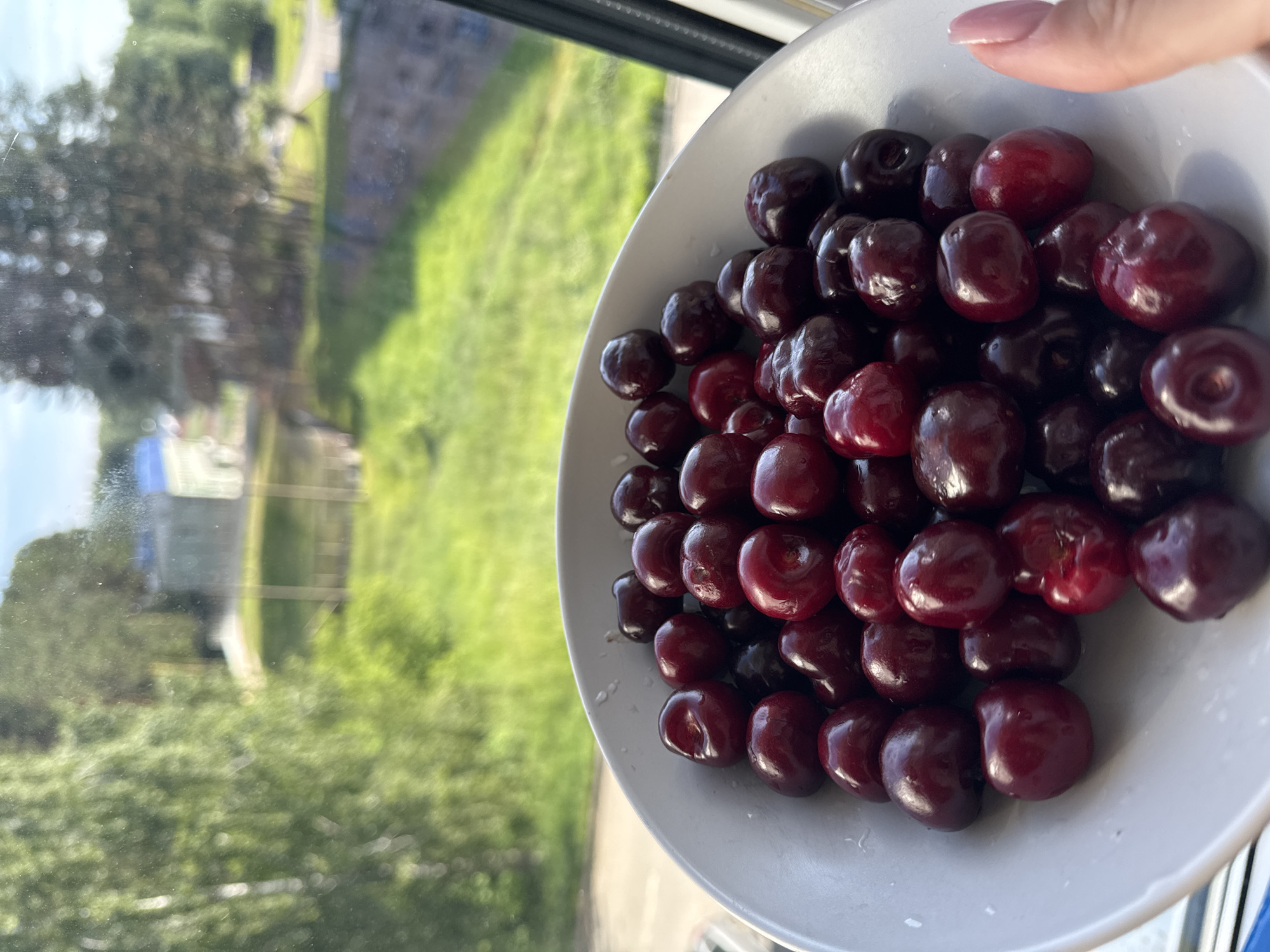 A close-up, slightly tilted shot captures a hand holding a white bowl overflowing with dark red cherries. The cherries appear fresh, with some glistening water droplets on their skins, suggesting they might have just been washed. The hand holding the bowl features neatly manicured fingernails painted with a light pink polish.
The bowl is positioned in the foreground, with a vibrant outdoor scene visible through what appears to be a window in the background. The outdoor environment is bathed in bright daylight, indicating either morning or afternoon. The background is somewhat blurred, but distinct features include lush green grass, various trees, and distant structures, possibly buildings or fences, hinting at a natural or semi-urban landscape. A blurry road or path can also be seen winding through the greenery. The sunny weather casts subtle highlights on the cherries and brightens the outdoor scene.
Given the context, this scene is set in Chaikovsky, Russia, portraying a fresh moment, perhaps before enjoying a healthy snack. There is no visible text in the image.