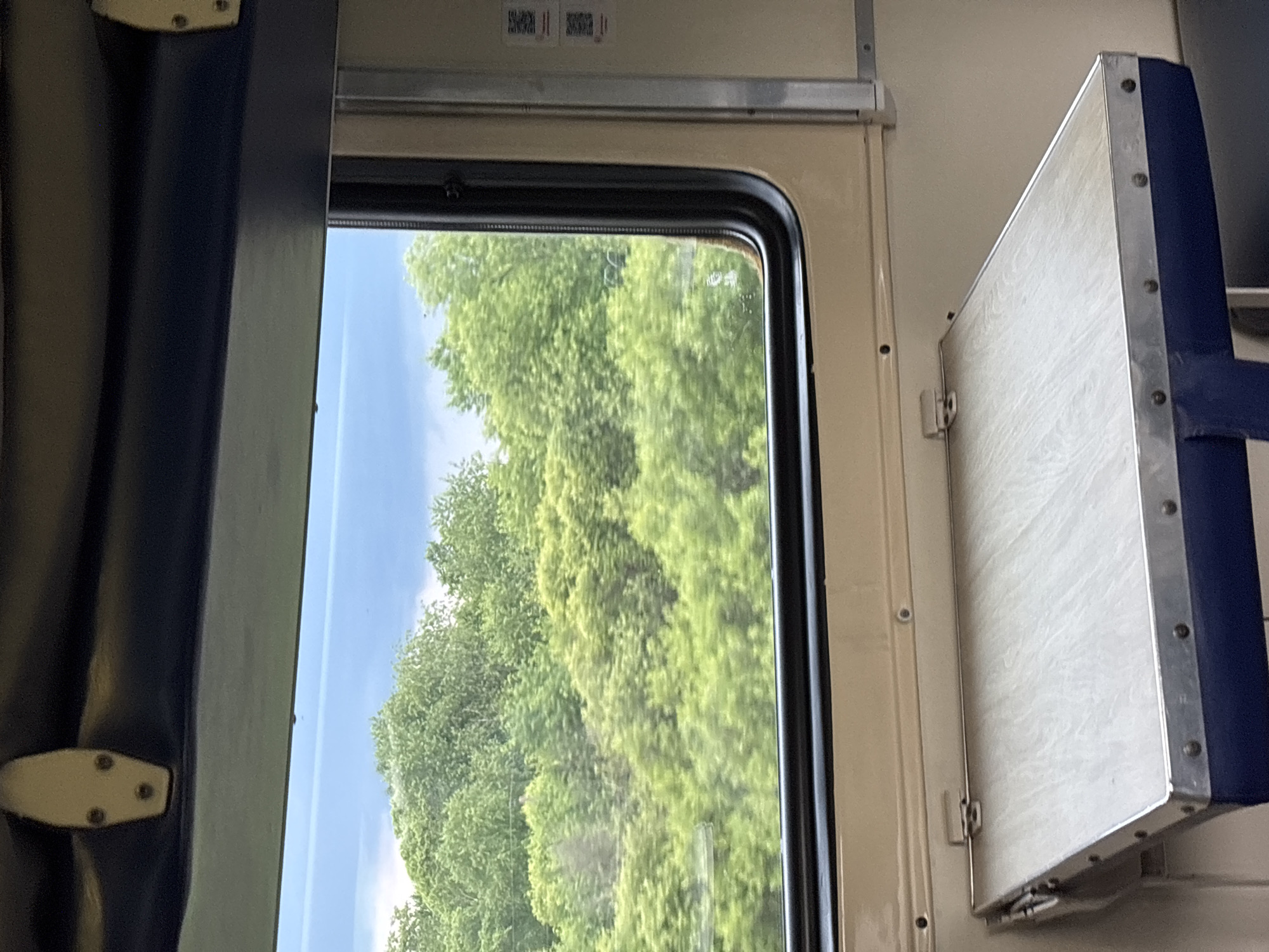 This image captures a view from inside a train carriage, looking out a window at a landscape of lush green trees under a cloudy sky. A fold-down tray table is visible in the foreground. The interior of the train carriage features beige walls and a dark blue trim. The overall impression is that of travel through a verdant, possibly rural, area. The specific location of "Raz"Yezd 9208 Kilometr, Russia" is not discernible from the visual content of the image.