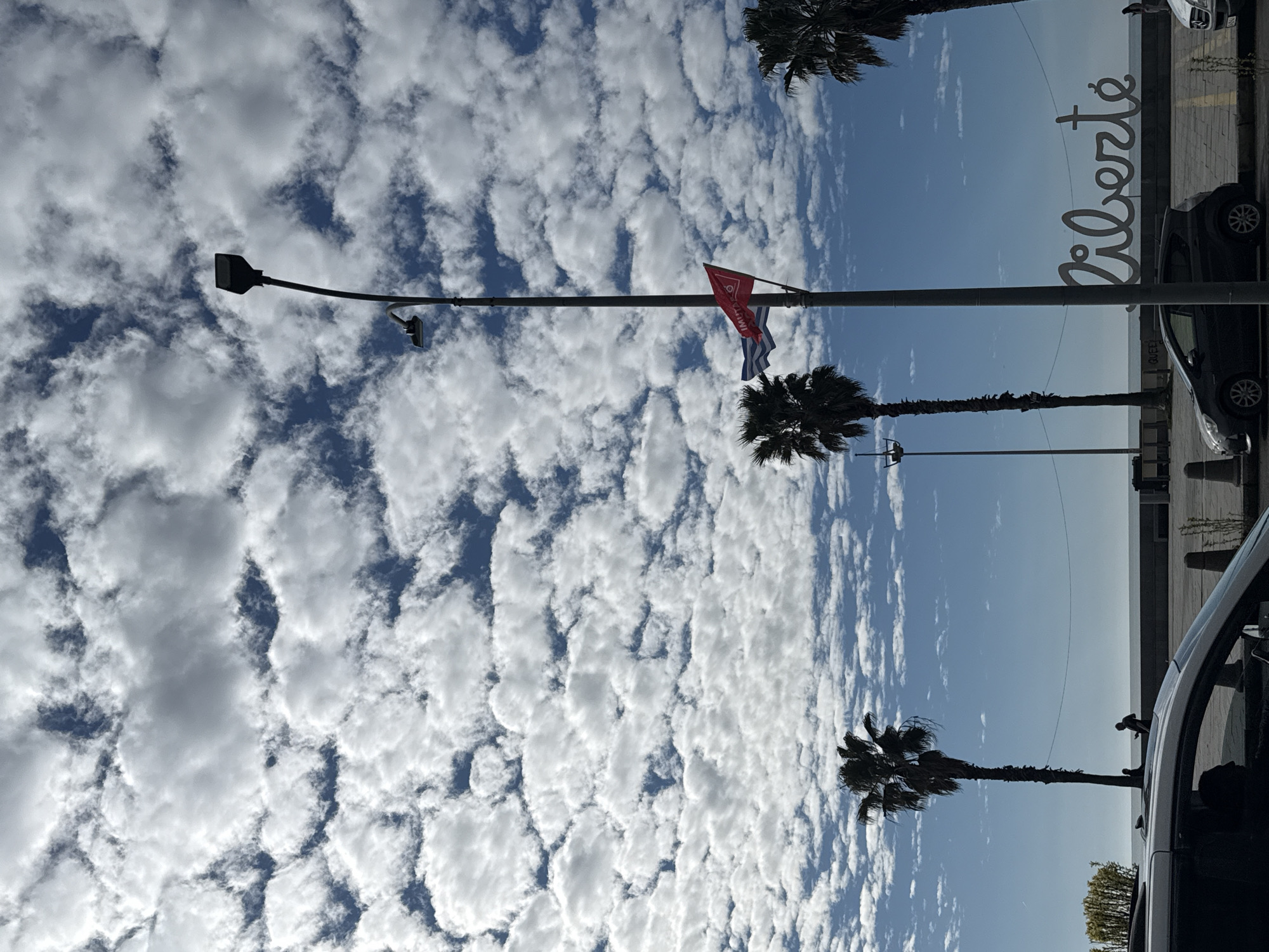 The image captures a vibrant daytime scene in Batumi, Georgia, characterized by a vast blue sky adorned with numerous small, puffy white altocumulus clouds. The horizon reveals a calm body of water, likely the Black Sea, meeting the sky in the distance. A paved area, consistent with a promenade or street, runs along the right side of the frame, where several cars are parked or driving.
Prominently featured is a tall, dark lamp post extending upwards from the left. Attached to this post are two small flags: one red flag displays white text that appears to read "I LOVE MT," while the other is a blue and white striped flag, possibly representing Greece. Several tall palm trees are scattered throughout the scene, some appearing as dark silhouettes against the bright sky.
On the paved area to the right, a large, stylized white sign spells out "liberté" (French for freedom), serving as a significant landmark. Two small, dark silhouettes of people are visible in the distance, one near the "liberté" sign and another further back by the water's edge, suggesting individuals enjoying a stroll. The time of day appears to be sunny, likely late morning or early afternoon, with clear weather and no long shadows. The scene conveys a tranquil, open atmosphere typical of a seaside location.