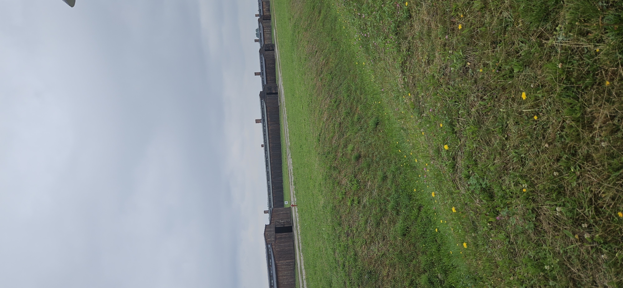The image shows a row of long, wooden barracks with red-brick chimneys under a cloudy sky. The barracks are positioned on a flat, grassy area with a slight incline in the foreground. The grass is a mix of green and dry patches, with scattered yellow wildflowers. A red fire hydrant is visible in front of one of the barracks. A white sign with the letter "M" is also present in front of the barracks. The scene appears to be a historical site, possibly a former camp. This location is identified as Auschwitz I in Brzezinka, Poland. There are no people or animals visible in the image.