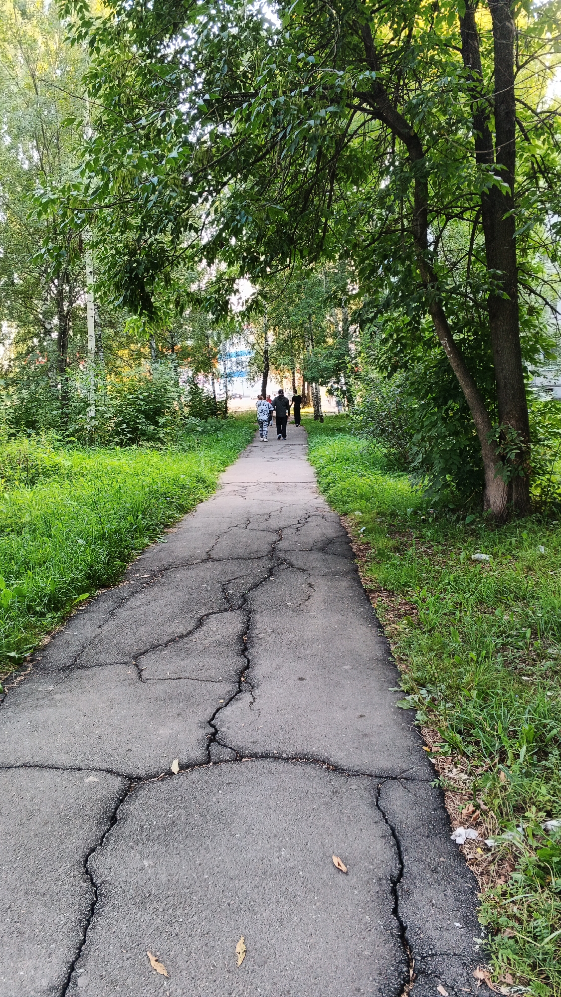 A paved pathway runs through a green, treed area, with three individuals walking away from the camera down the path. The pathway is cracked and weathered. Lush green grass grows on either side of the path. In the background, trees and some buildings are visible. The scene appears to be in a residential area of Izhevsk, Russia, likely a park or communal walkway.