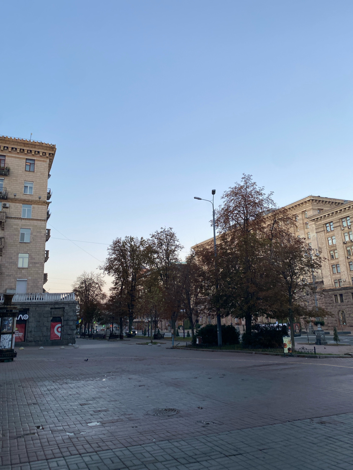 This is a wide, eye-level shot of an urban plaza or street with cobblestone paving and some trees. On the left, a tall, light-colored building with multiple windows and balconies dominates the frame. To the right of this building, several trees with sparse autumn foliage are visible, and beyond them, another large, ornate building with numerous windows and architectural details. The sky above is a clear, pale blue. The ground is paved with gray and reddish-brown rectangular bricks, and there are some puddles of water on the surface. A lamppost stands among the trees. In the background, more trees and parts of buildings are visible, along with some benches and possibly street signs. The scene appears to be deserted, with no people or vehicles clearly visible.