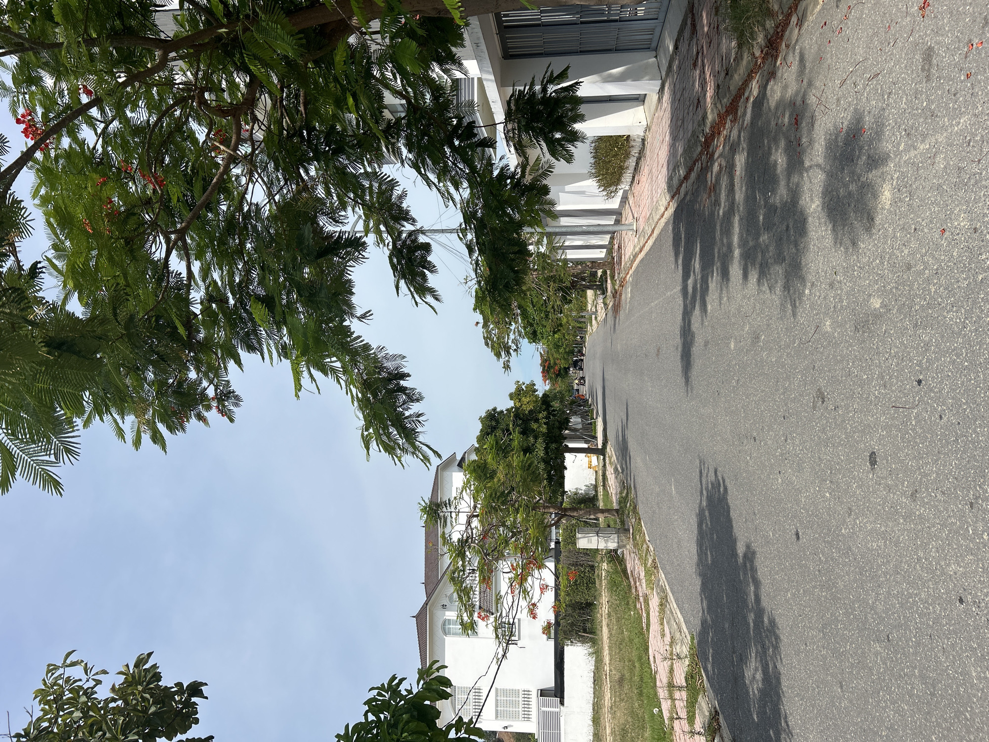 The image depicts a street scene in Nam Nha Trang Ward, Vietnam, on a sunny day. A paved road runs through the center of the frame, lined by modern white houses and lush green trees with some red flowers. The trees cast shadows on the road, indicating the time of day is likely mid-morning or early afternoon. On the left side of the street, a large white house with balconies and ornate detailing is visible. The right side of the street features more white houses with gray gates and planters. The sky is a clear, light blue with a few wispy clouds. In the distance, a couple of motorcycles are seen on the road. The overall impression is one of a quiet, well-maintained residential area.