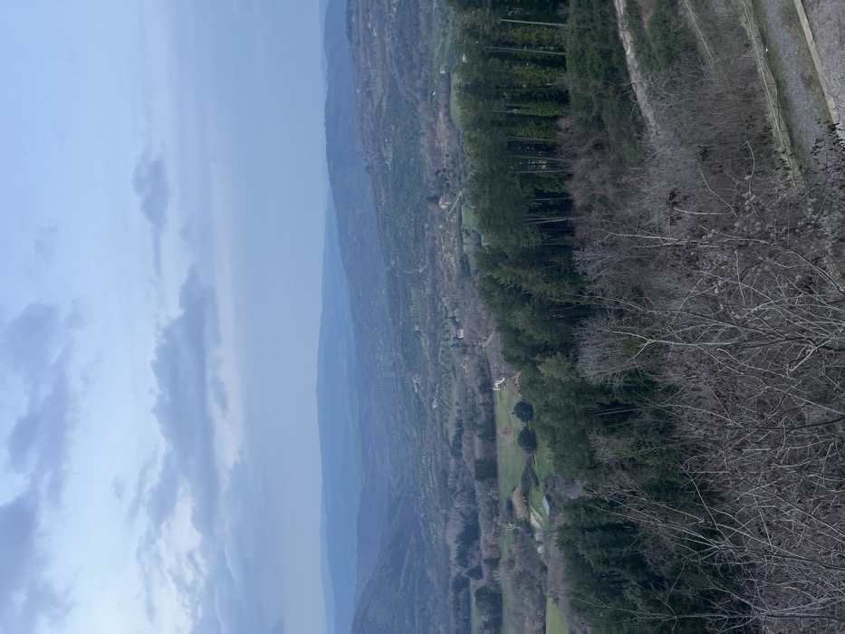 This image captures a wide, high-angle panoramic landscape view of a valley and distant hills within the city of Castel del Piano, Italy. The upper third of the frame shows an overcast sky with scattered, diffuse grey clouds against a pale blue-grey expanse. Below the horizon, multiple layers of undulating hills, covered with trees and appearing progressively lighter due to atmospheric haze, recede into the distance. The midground reveals a valley floor composed of green and brown agricultural parcels, olive groves, and scattered buildings with light-colored roofs. A winding, light-colored path or road is visible traversing the valley. The foreground features a prominent band of dense, dark green coniferous trees, particularly along the mid-right. Immediately in front of these conifers, and extending across the lower portion of the image, are numerous leafless deciduous trees and tangled shrubs with grey-brown branches, indicating a winter or early spring season. A section of a grey, unpaved or dirt road is visible at the lower right edge of the frame. No individuals, animals, or explicit actions are depicted. The scene is evenly and softly illuminated, consistent with an overcast day.