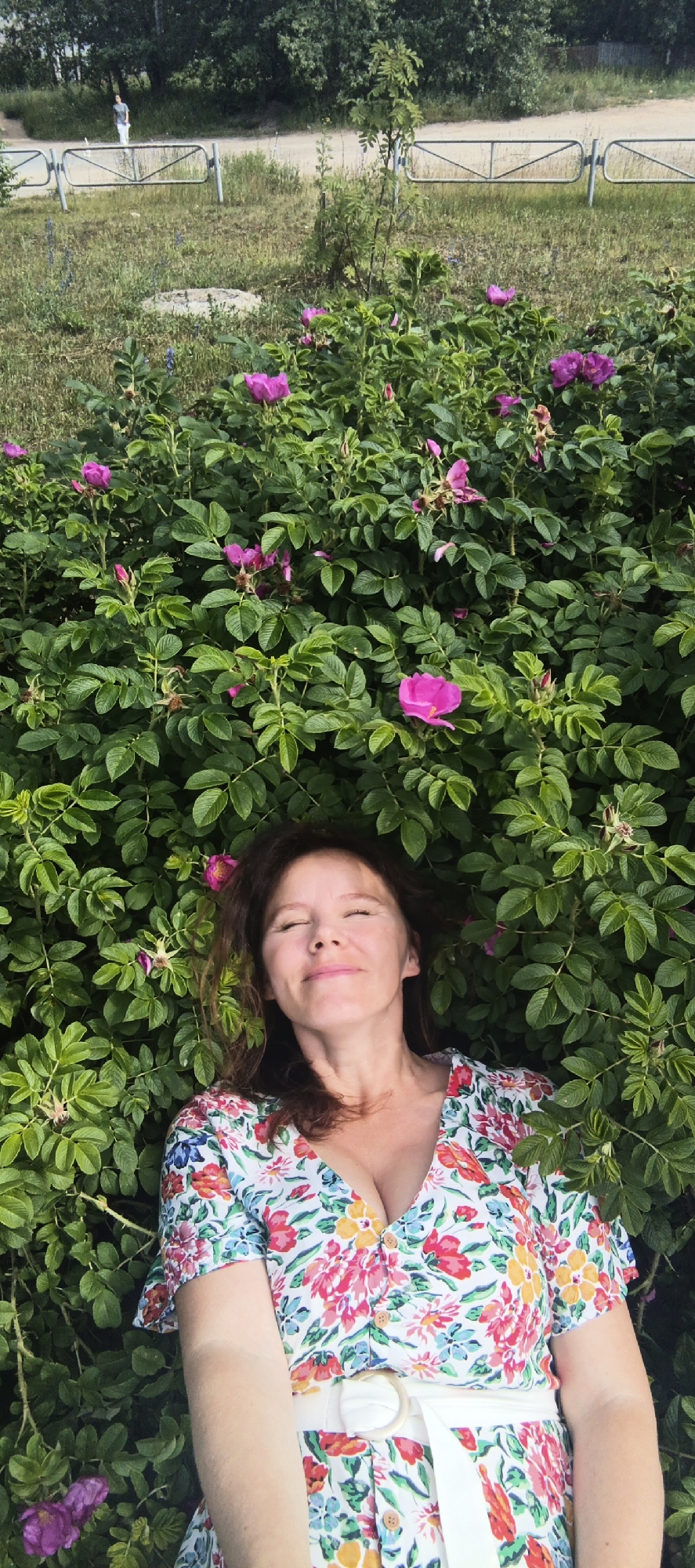 The image shows a woman lying down among rose bushes. She is wearing a floral print dress with short sleeves and a white belt. Her eyes are closed and she has a serene expression on her face. The rose bushes are in full bloom with pink flowers and lush green leaves. In the background, there is a dirt road with a metal fence and trees. A person is visible walking on the road in the distance. The scene appears to be outdoors on a sunny day. The setting is likely a park or a garden in Chaikovsky, Russia. The woman's relaxed posture and closed eyes suggest a moment of peace and enjoyment of nature. There is no visible text in the image.