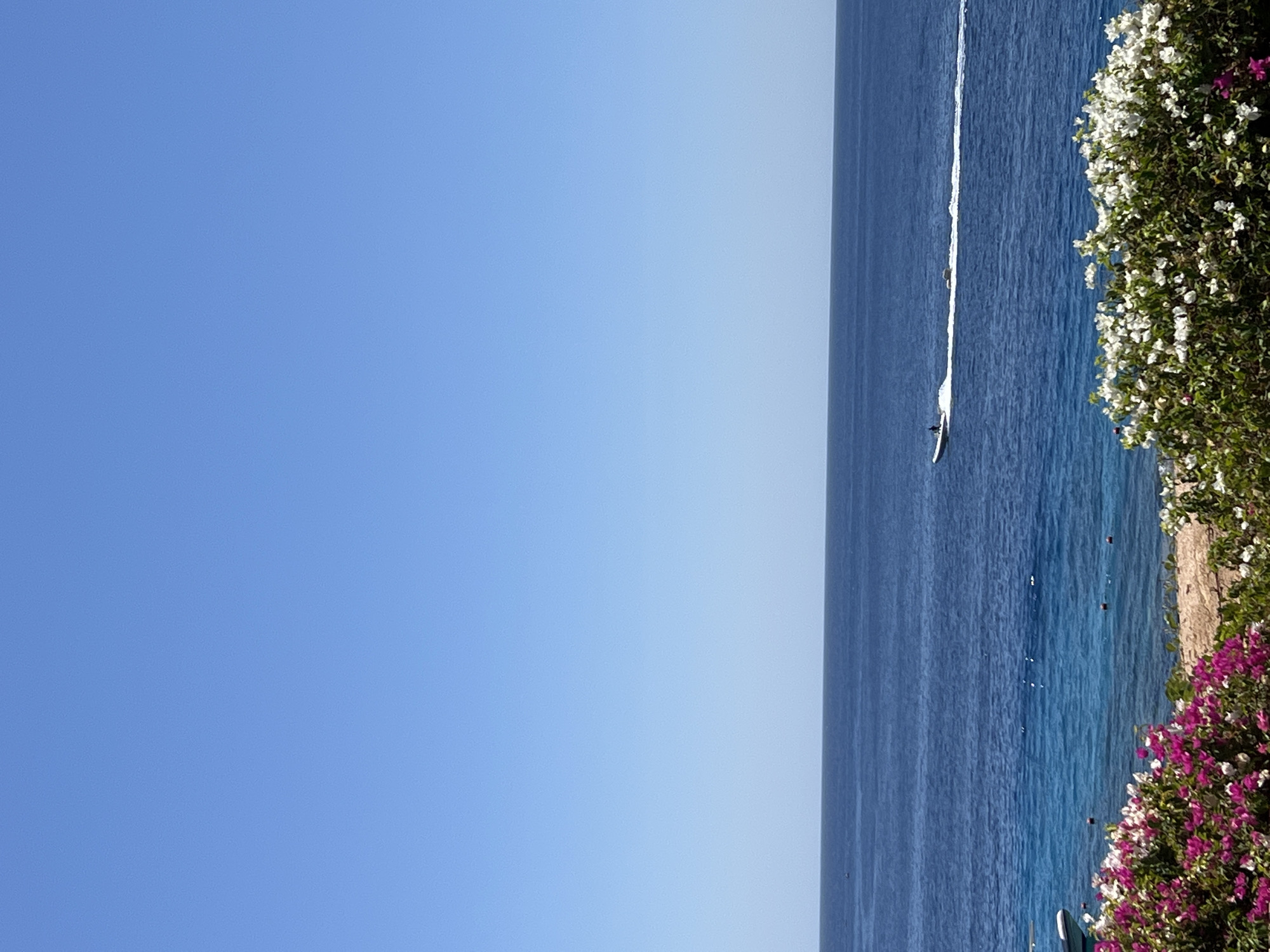 The image depicts a bright, sunny day at a coastal location. The scene is divided into two distinct areas: a vast expanse of clear blue sky on the left and the shimmering blue ocean on the right. The ocean is populated by a few small boats or personal watercraft, each leaving a white wake that trails behind them. In the foreground, on the right side of the image, lush green foliage is visible, adorned with abundant clusters of white and pink flowers, suggesting a tropical or Mediterranean environment. The water appears calm, with gentle ripples indicative of a pleasant breeze. The overall atmosphere is one of leisure and tranquility, likely a tourist destination given the recreational activities on the water. The location cues, such as the vibrant flowers and the clear blue sea, are consistent with a warm climate. The time of day appears to be midday, with the sun high in the sky, casting bright light and creating a vibrant, colorful scene. No text is visible in the image.