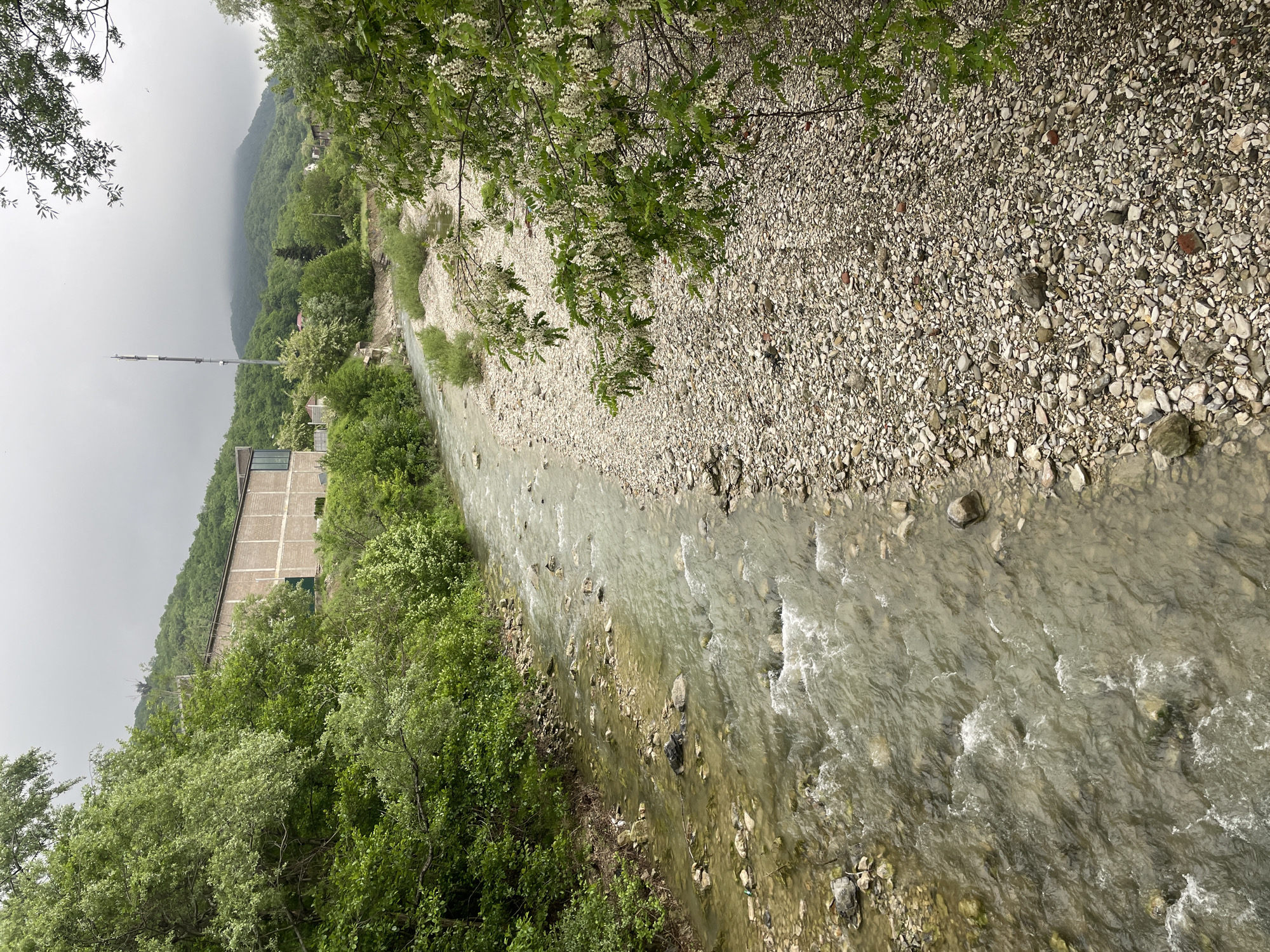 A river flows through a rocky riverbed in Olginka, Russia. The river is bordered by green trees and vegetation. A tall structure and communication tower are visible in the background, indicating a nearby town or settlement. The sky is overcast, suggesting a cloudy or potentially rainy day.