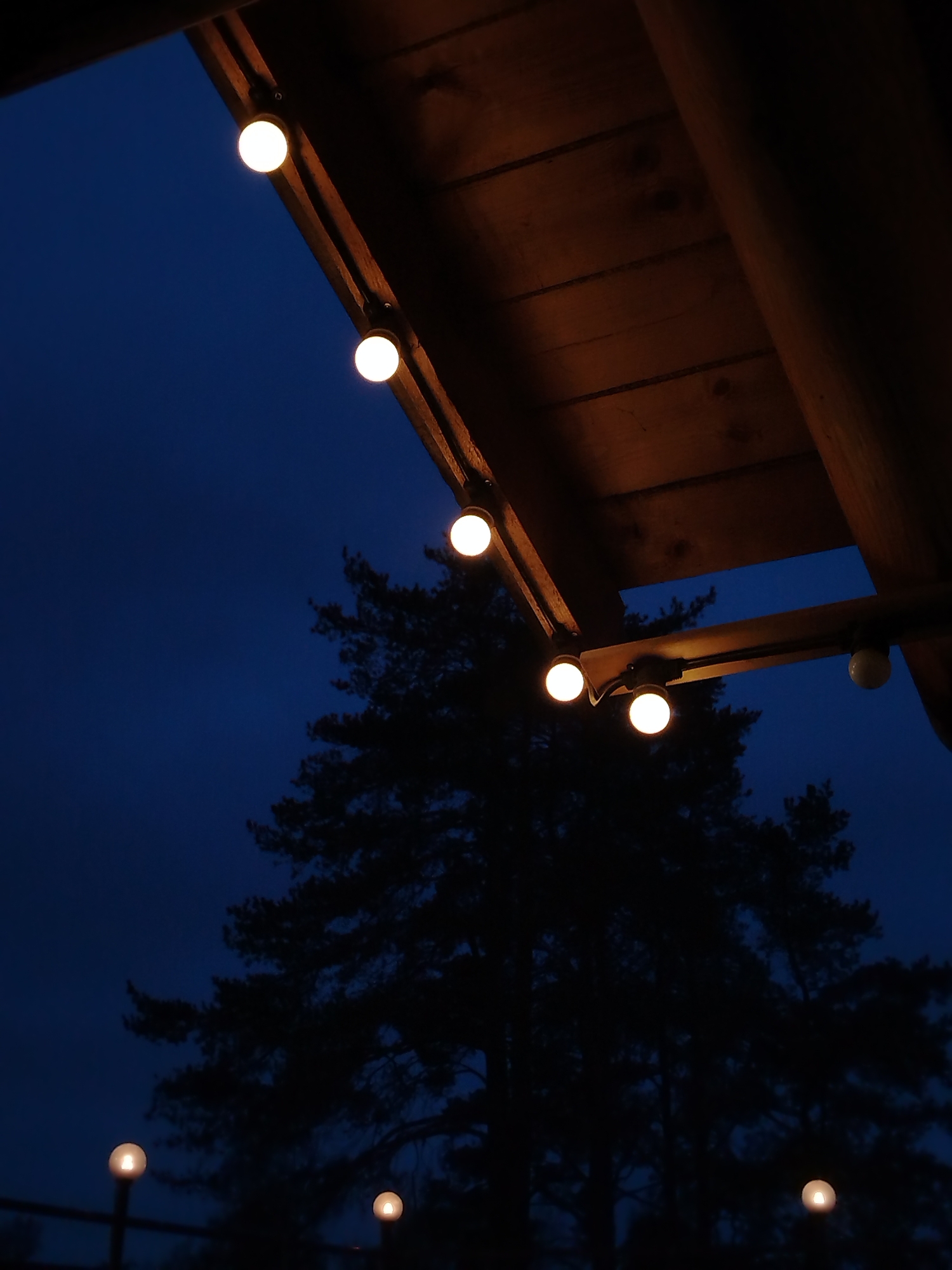 The image captures an outdoor scene at dusk or night in Chaikovsky, Russia, looking upwards towards a wooden structure against a dark blue sky. The main subjects are a series of glowing spherical string lights and the wooden framework to which they are attached. This structure, likely a porch or roof overhang, is made of dark wooden planks and beams, reflecting the warm light from the bulbs.
Several bright, circular bulbs are prominently featured in the upper and middle sections of the frame, emanating a warm, inviting glow. Below the main wooden structure and further into the scene, additional dimmer, glowing bulbs are visible, suggesting more lights on a lower level or in the distance.
Against the deep indigo and dark blue backdrop of the night sky, the distinct silhouettes of tall coniferous trees, possibly pines, stand out, adding a natural and somewhat mysterious element to the setting. The contrast between the warm artificial light and the cool natural darkness is striking. The scene is devoid of any human activity, conveying a sense of peace and tranquility. There is no visible text in the image. The ambiance is calm, cozy, and atmospheric, hinting at a quiet evening outdoors.