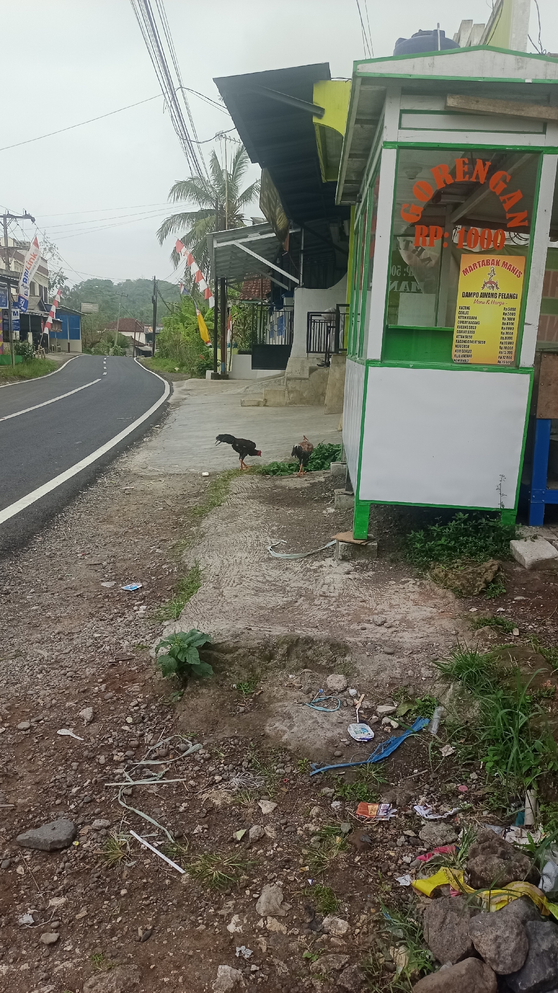 In Cogreg, Indonesia, this image captures a roadside scene. A paved road curves to the left, bordered by a gravel shoulder. A sidewalk runs parallel to the road, where two chickens are foraging. To the right of the sidewalk, a small, green-and-white kiosk with a glass front is situated. A sign on the kiosk displays prices for food items in Indonesian Rupiah. In the background, a building with a dark roof overhang is visible, with palm trees and foliage suggesting a tropical environment. The sky is overcast. The foreground and the edge of the sidewalk show signs of litter.