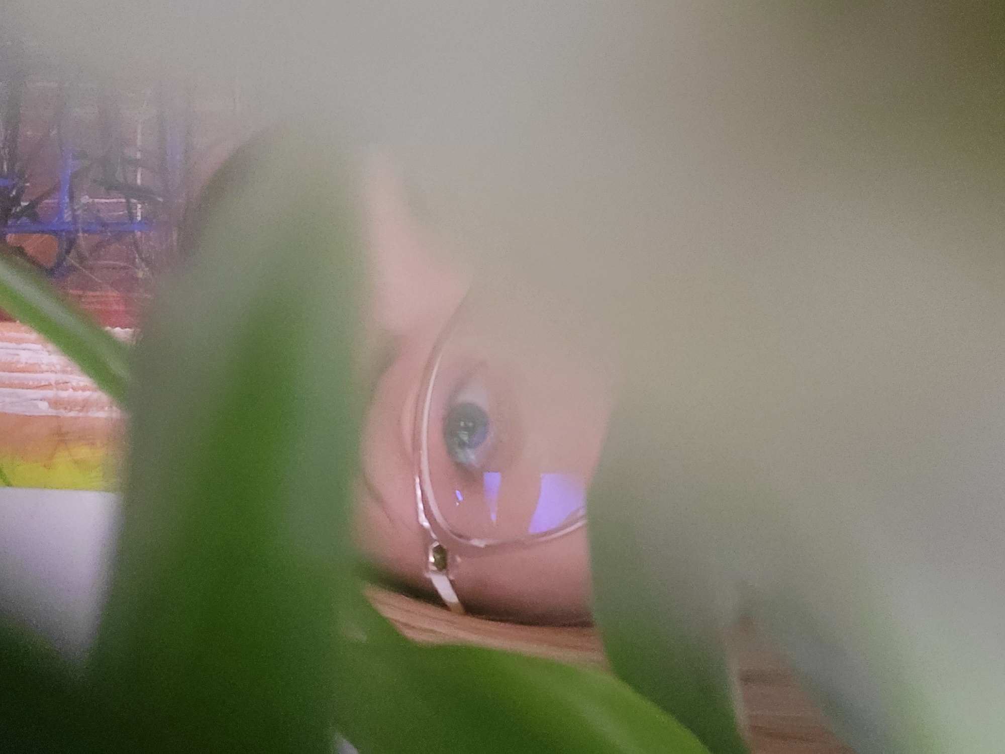 A blurred, close-up view of a person's eye, visible through a partial obstruction of blurred green foliage. The person is wearing glasses with a light-colored frame, and a partial view of their face is visible. In the blurred background, a structure that appears to be a blue metal rack can be seen. The location, Budva, Montenegro, cannot be verified from this image.