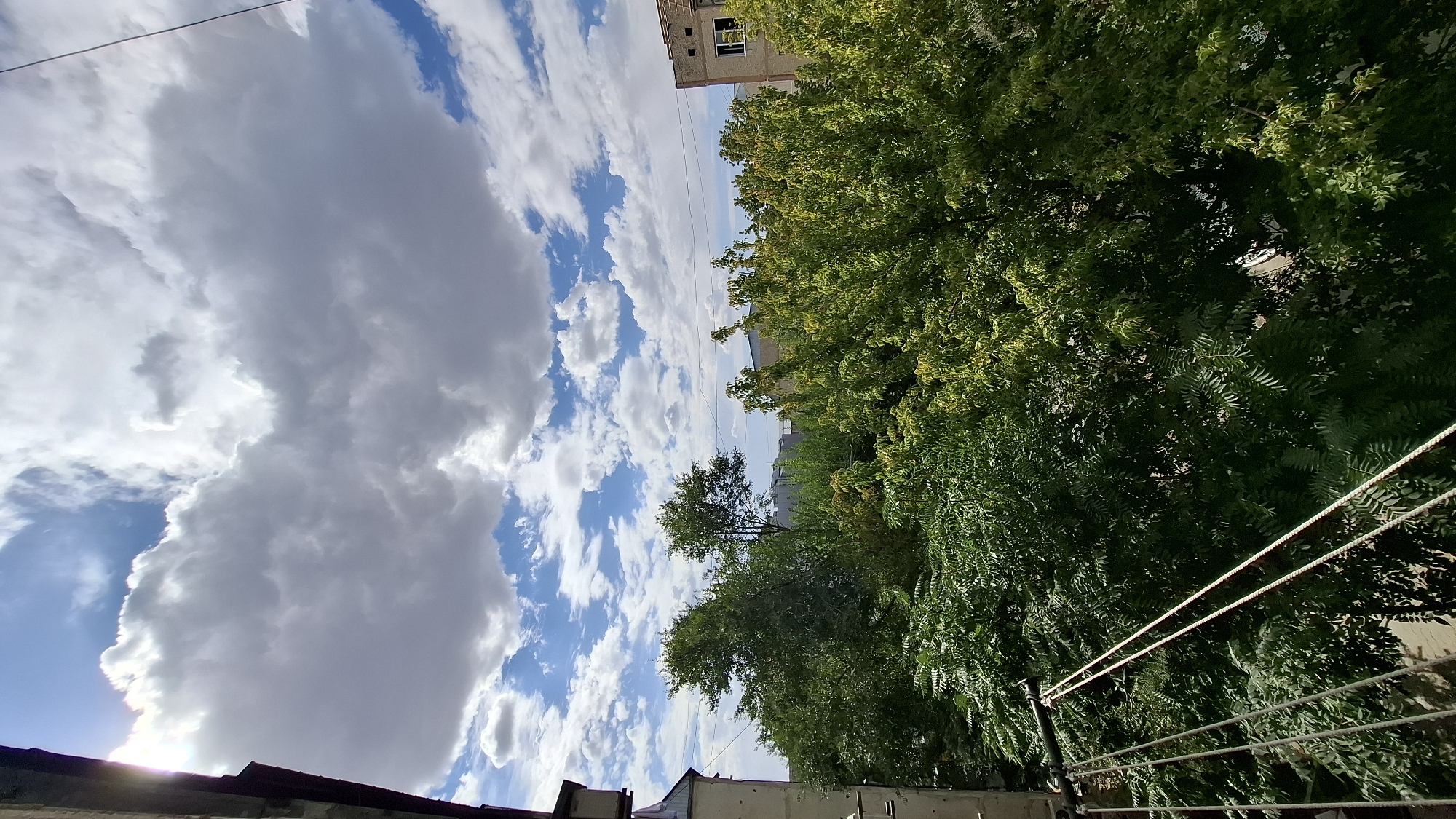 The image captures a view of the sky and treetops from an elevated position, likely a balcony or window, in Shymkent, Kazakhstan. The sky is a mix of blue and white, with large, fluffy cumulus clouds dominating the upper portion of the frame. Sunlight breaks through the clouds in the upper left corner, creating a bright glare. Below the sky, a dense canopy of green trees fills the middle and lower sections of the image. The trees are lush and varied in their foliage. In the background, parts of buildings, including a light-colored structure with windows and a darker building with a visible rooftop, are visible amidst the trees. In the foreground, on the left side, a portion of a building facade and some wires are present. The overall scene suggests an urban environment with significant greenery.