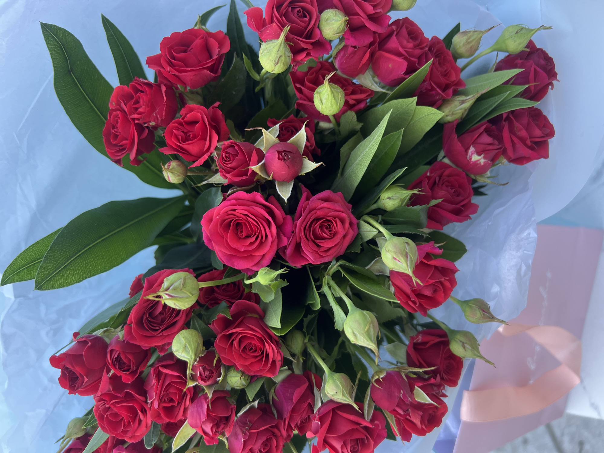 A bouquet of red roses is displayed against a light blue background, with hints of white tissue paper and a pink gift bag with a ribbon visible at the bottom left. The roses are a deep red color, with some buds still closed and green. Lush green leaves are interspersed throughout the bouquet. The lighting suggests it might be outdoors, possibly on a bright day. No people are present in the image. The specific location in Achadara, Abkhazia is not discernible from the visual information provided.