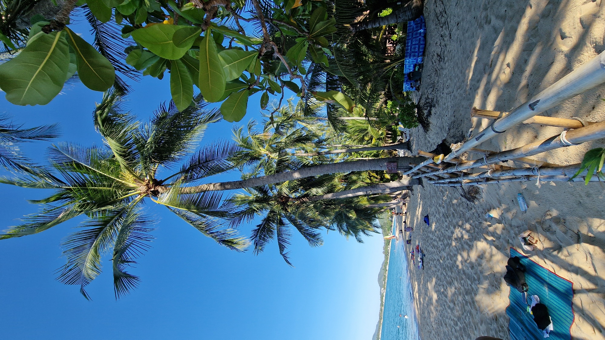 The image depicts a beach scene in Baan Mae Nam, Thailand, on a clear day with a bright blue sky. A row of tall palm trees lines the sandy shore, with some of their fronds extending into the upper part of the frame. To the left, the turquoise ocean meets the sand, and a few people are visible in the water and on the beach. Further down the beach, several beach towels and bags are spread out on the sand. A rustic fence made of bamboo poles runs along the foreground, separating the beach from a more densely vegetated area behind it. Sunlight casts dappled shadows across the sand from the palm trees. In the background, distant hills are visible across the water.
