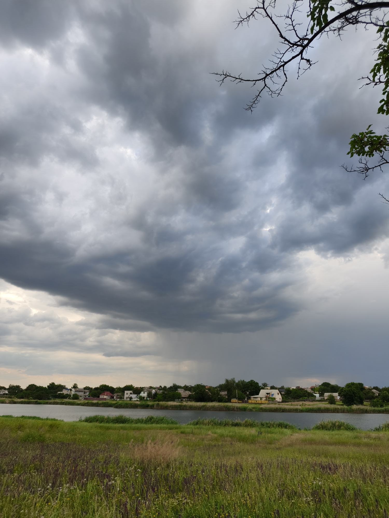 This vertical, wide-angle photograph captures a serene landscape with a dramatic sky over a body of water, situated in Kryvyi Rih, Ukraine. The foreground is dominated by tall, green grass with patches of darker, wilder vegetation and scattered small purple flowers. Beyond the grassy bank, a calm, dark body of water stretches horizontally across the frame, reflecting the overcast sky. Across the water, a line of residential buildings is visible, nestled amongst lush green trees. The houses are of varying sizes and colors, with visible roofs, and appear to be detached homes in a suburban or rural setting.
The sky is the most striking element, filled with heavy, dark gray storm clouds that cover most of the upper portion of the image. Towards the right side of the frame, a distinct shaft of rain is visible falling from the clouds onto the distant landscape. A few branches of a deciduous tree, bare of leaves, extend from the top right corner, adding a touch of visual contrast against the turbulent sky. The overall lighting is dim, suggesting an impending storm or the aftermath of one. The scene appears to be uninhabited by people. The setting suggests a natural environment within or on the outskirts of Kryvyi Rih, likely a riverbank or lakeside.