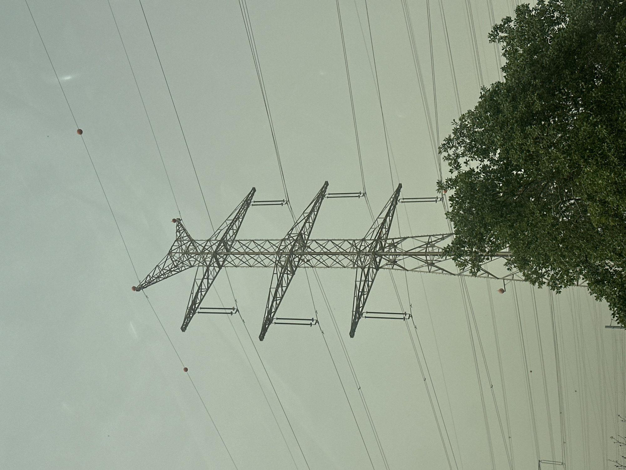 A low-angle shot captures an electrical transmission tower with three distinct support structures, set against a pale, overcast sky. The metal tower is intricately crisscrossed and connected to high-voltage power lines that stretch across the frame. Orange marker balls are attached to the lines. A portion of a tree with dense green foliage occupies the right side of the image. The location is Lod, Israel, deduced from the presence of high-voltage towers typical of infrastructure found there. No people are visible.